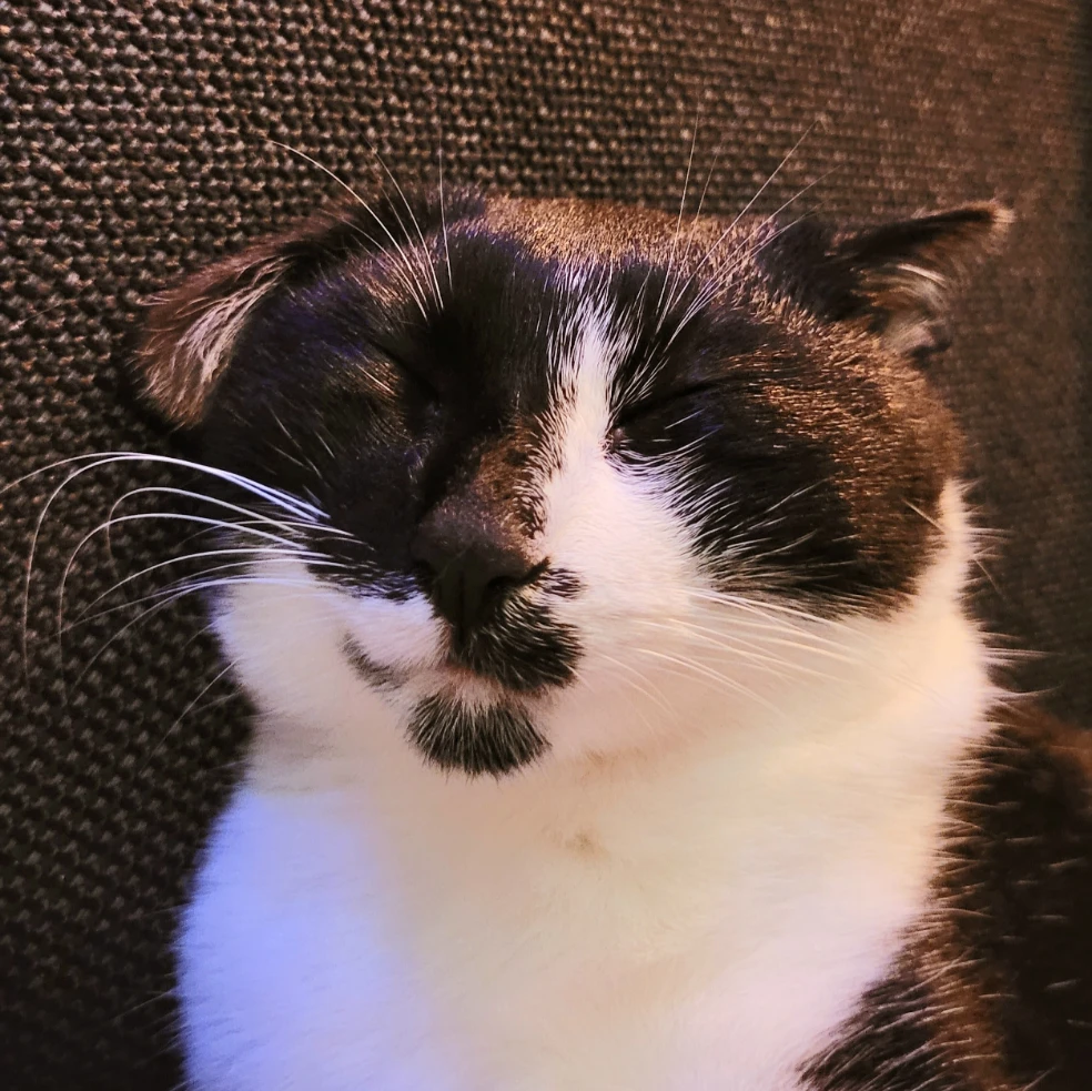 Maya
