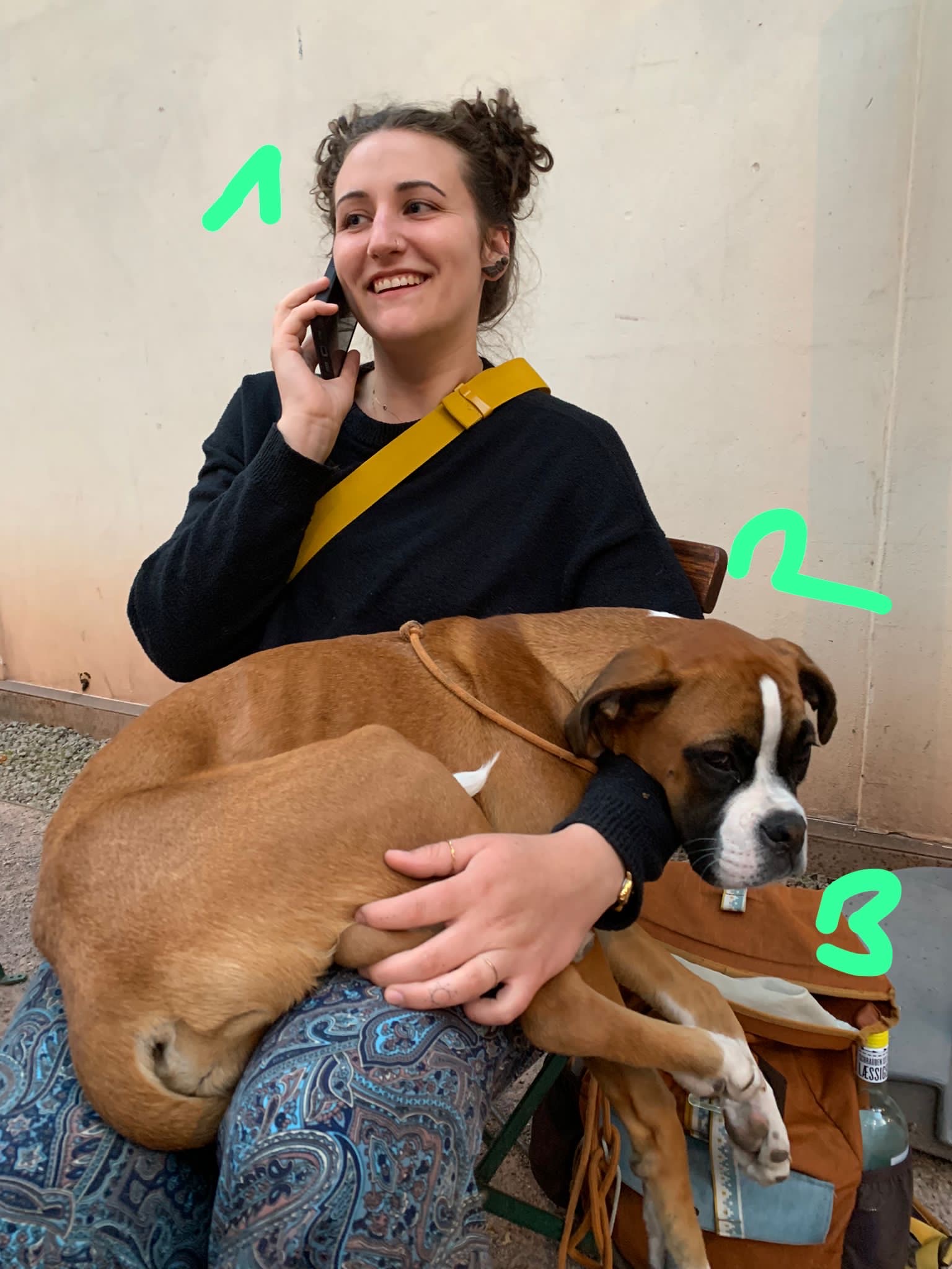 image-6