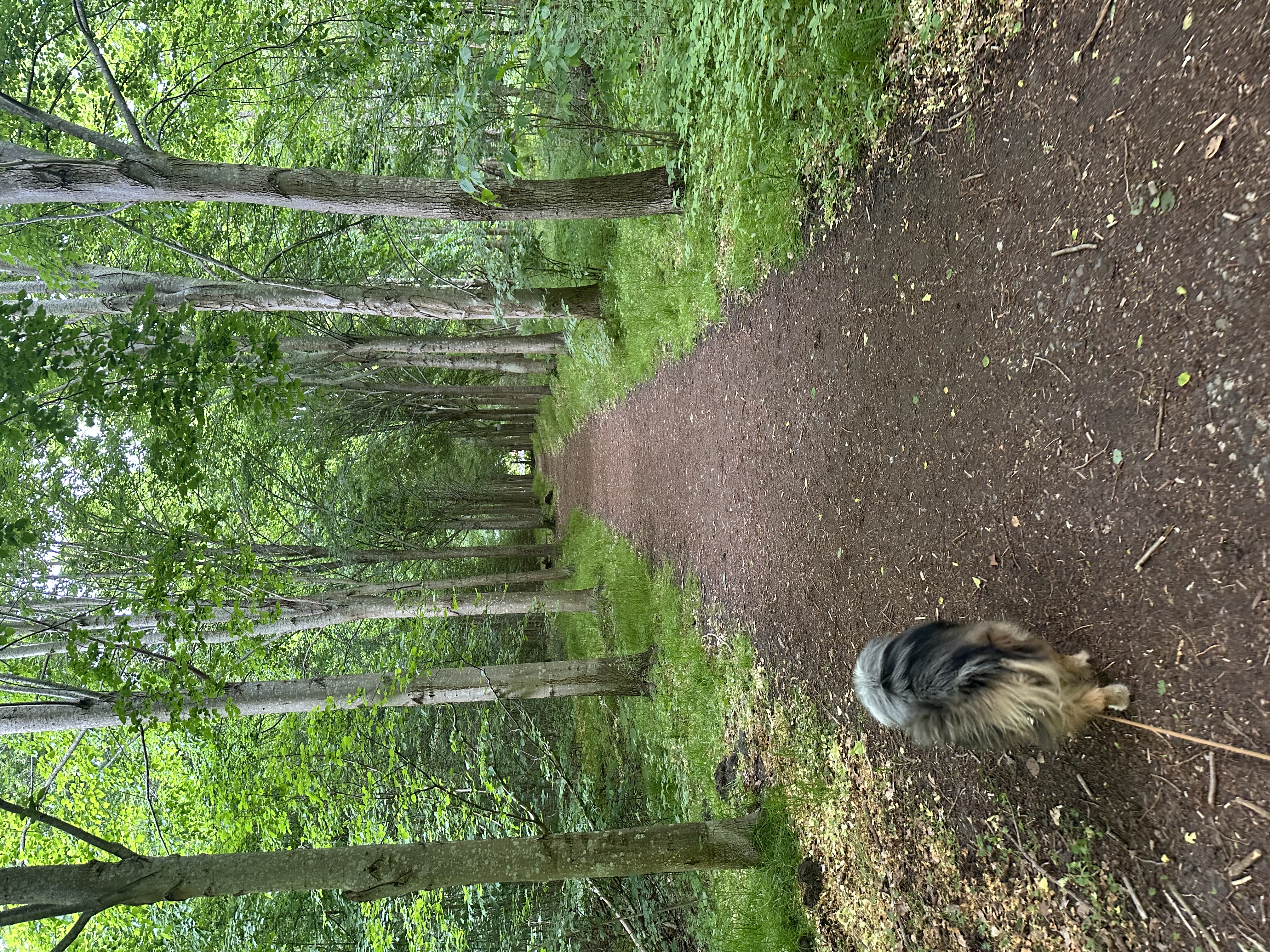image-16