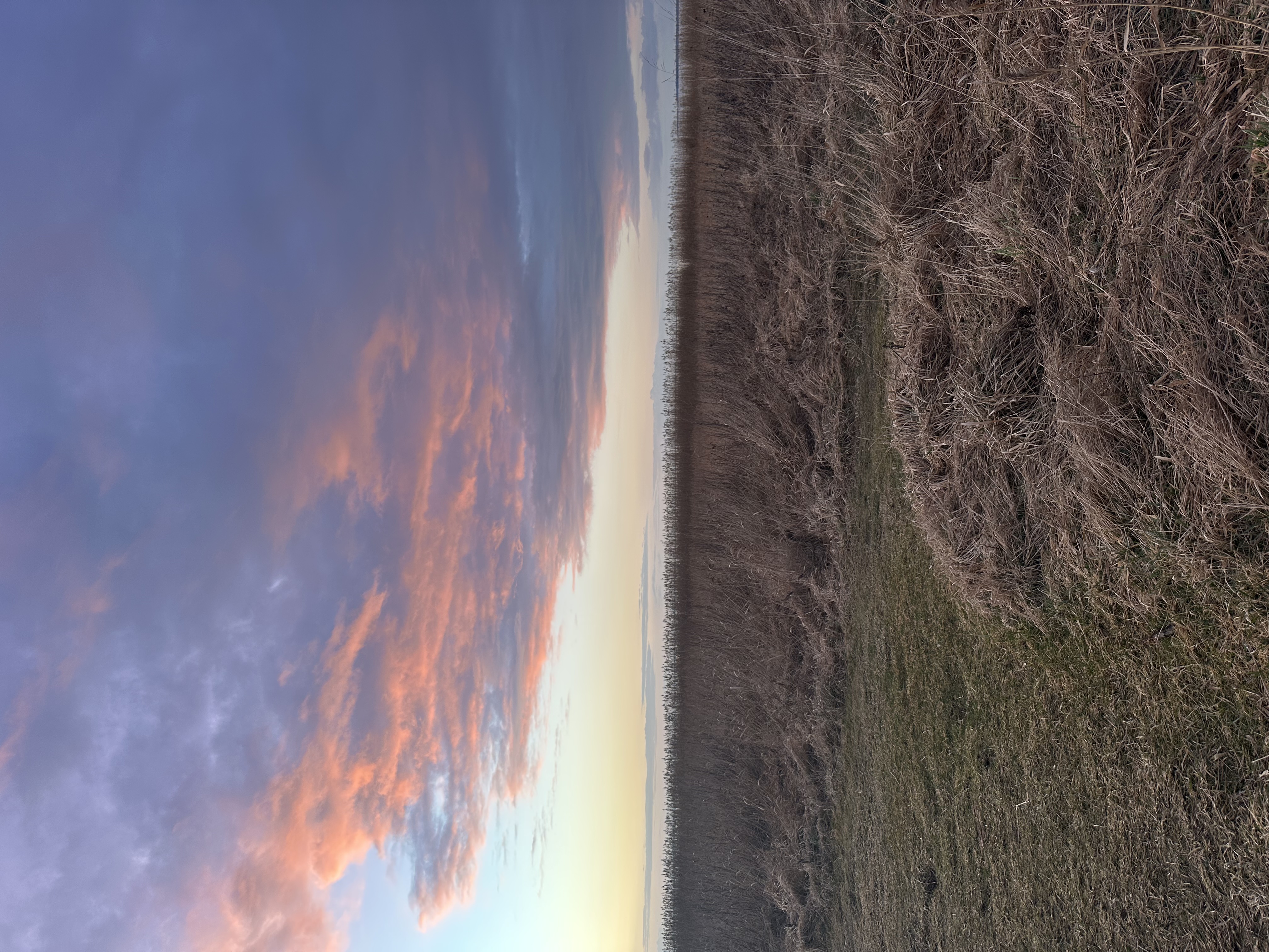 image-14