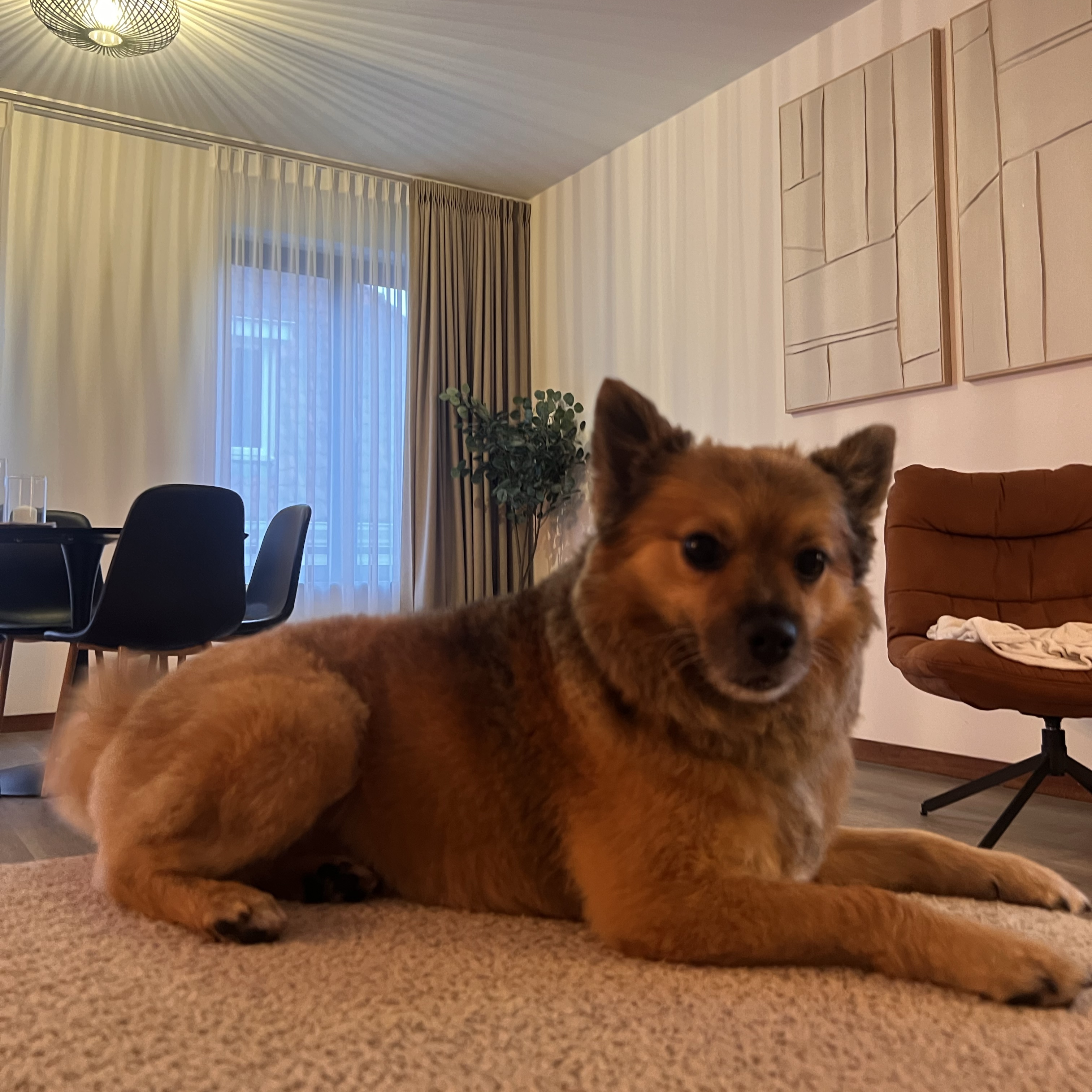 Oscar 