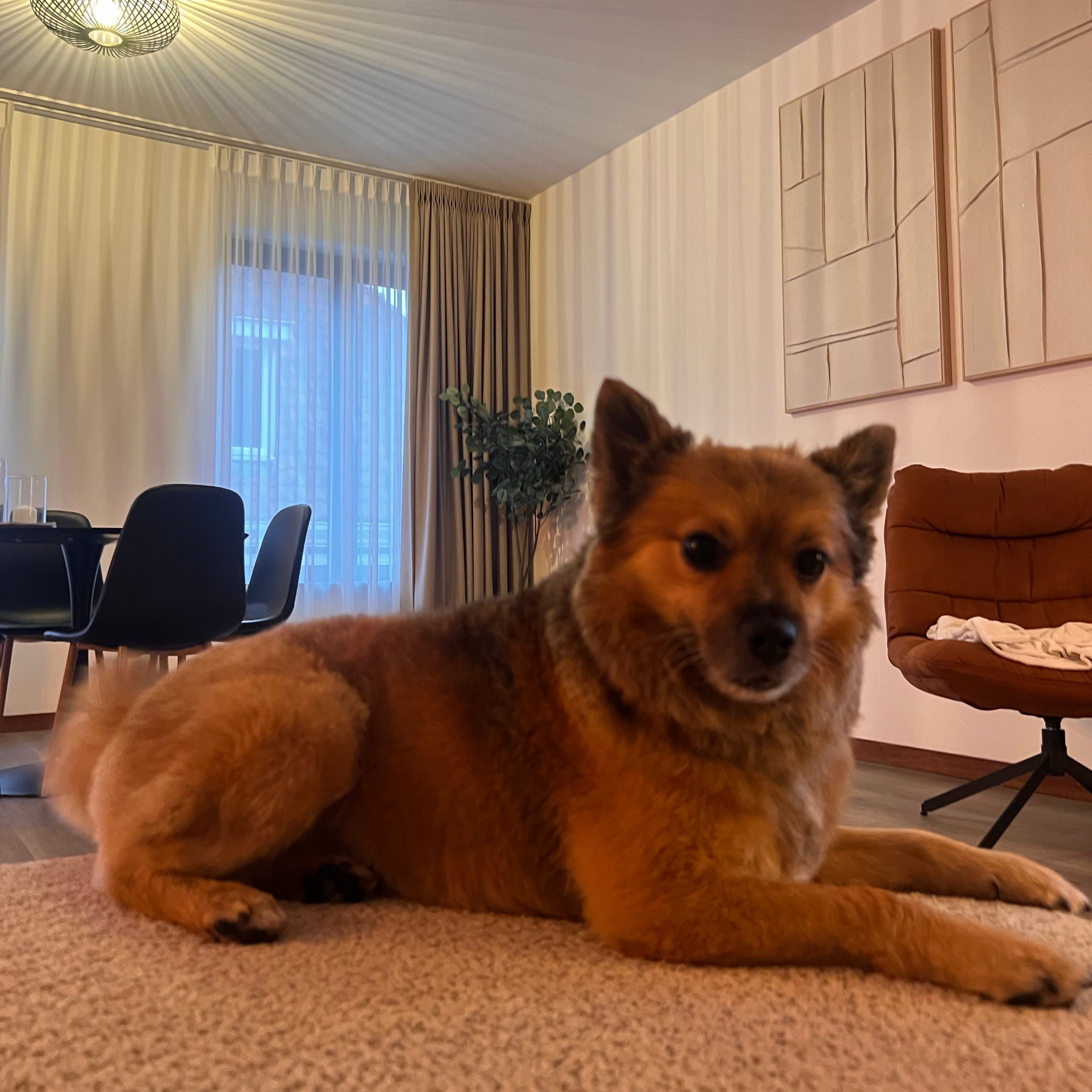 Oscar