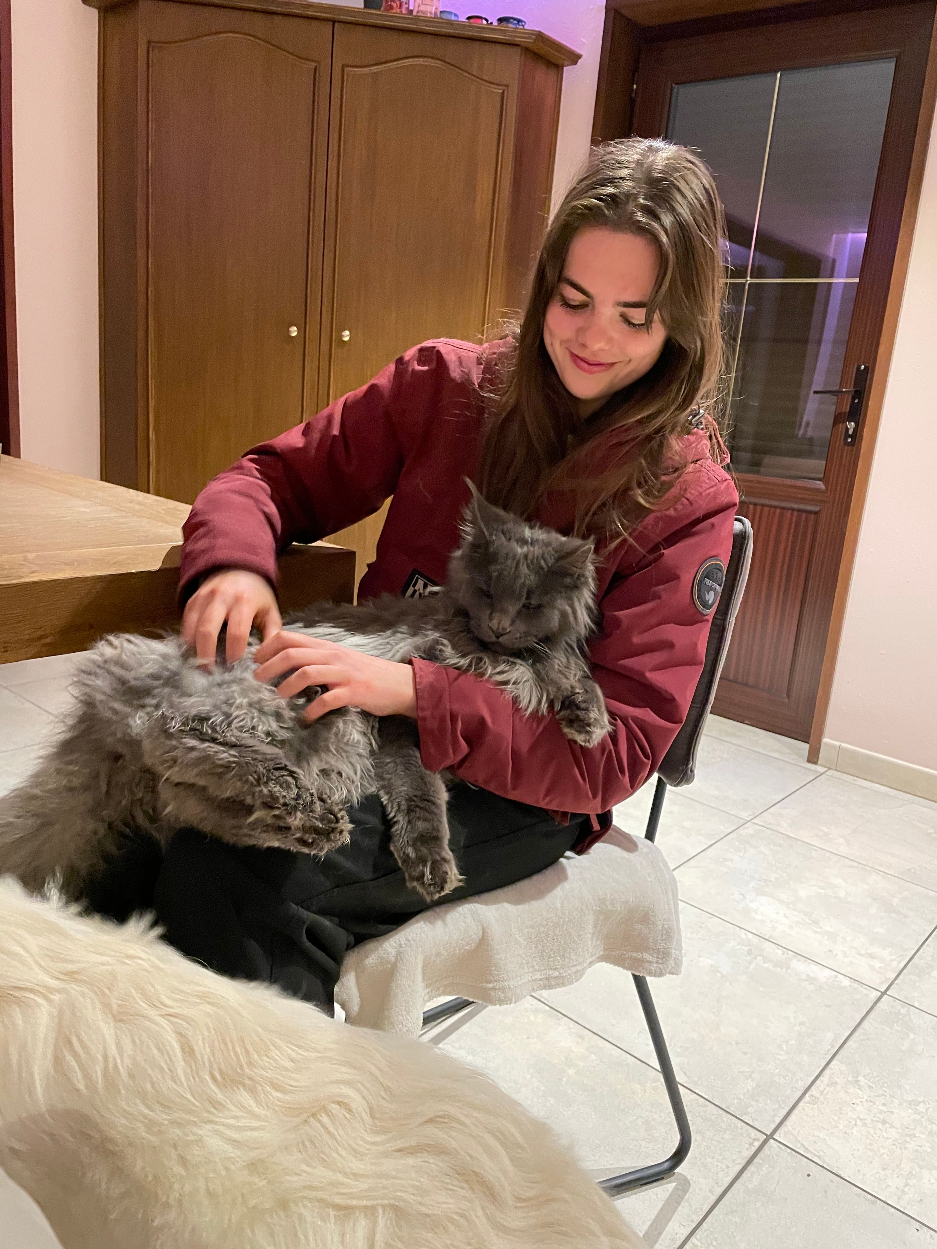 image-9