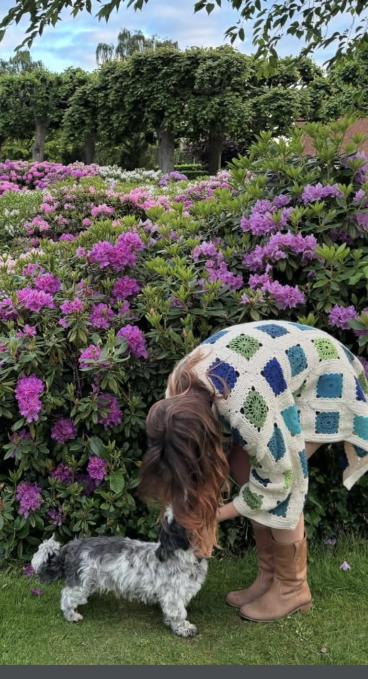 image-9