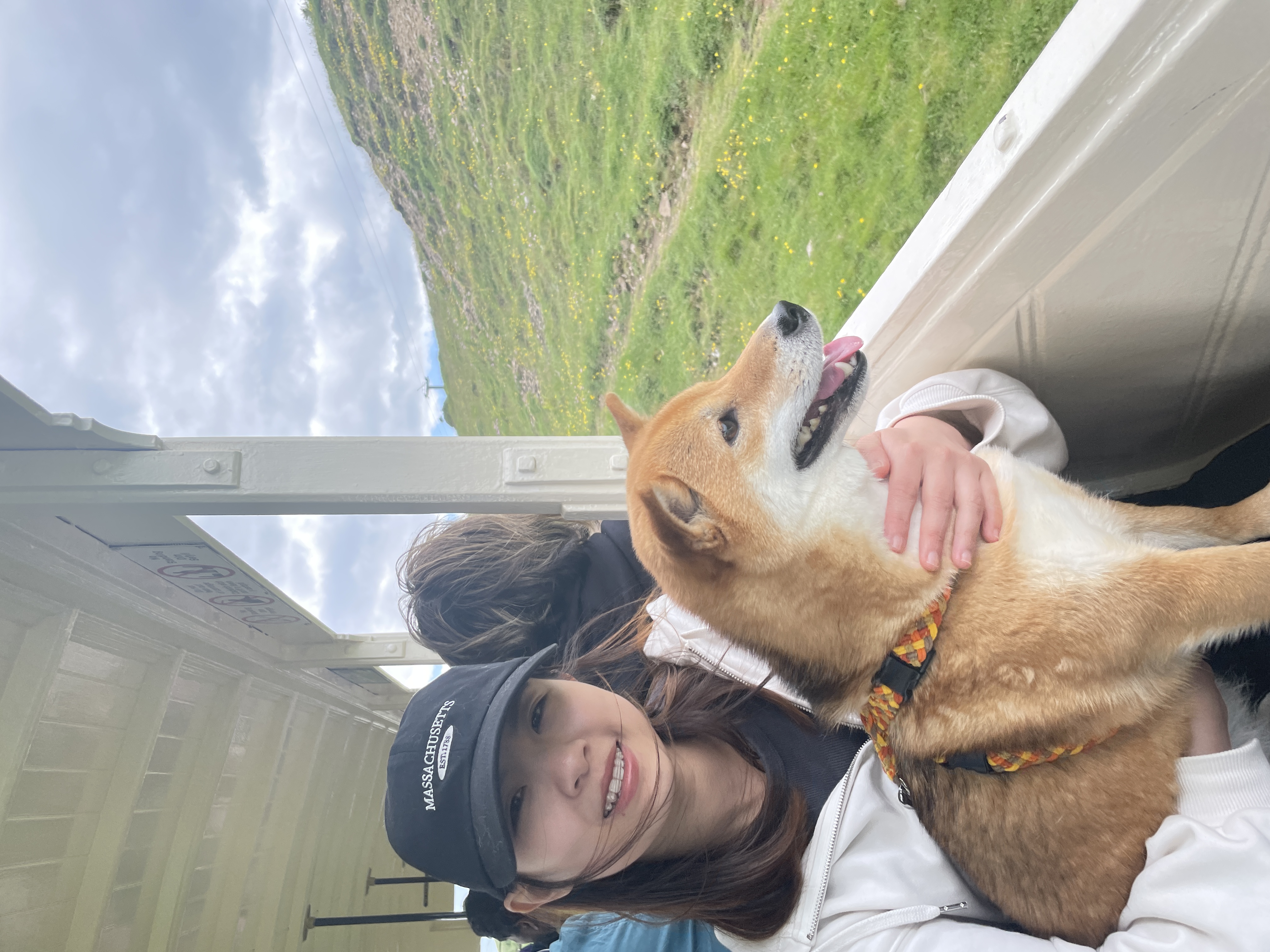 image-7