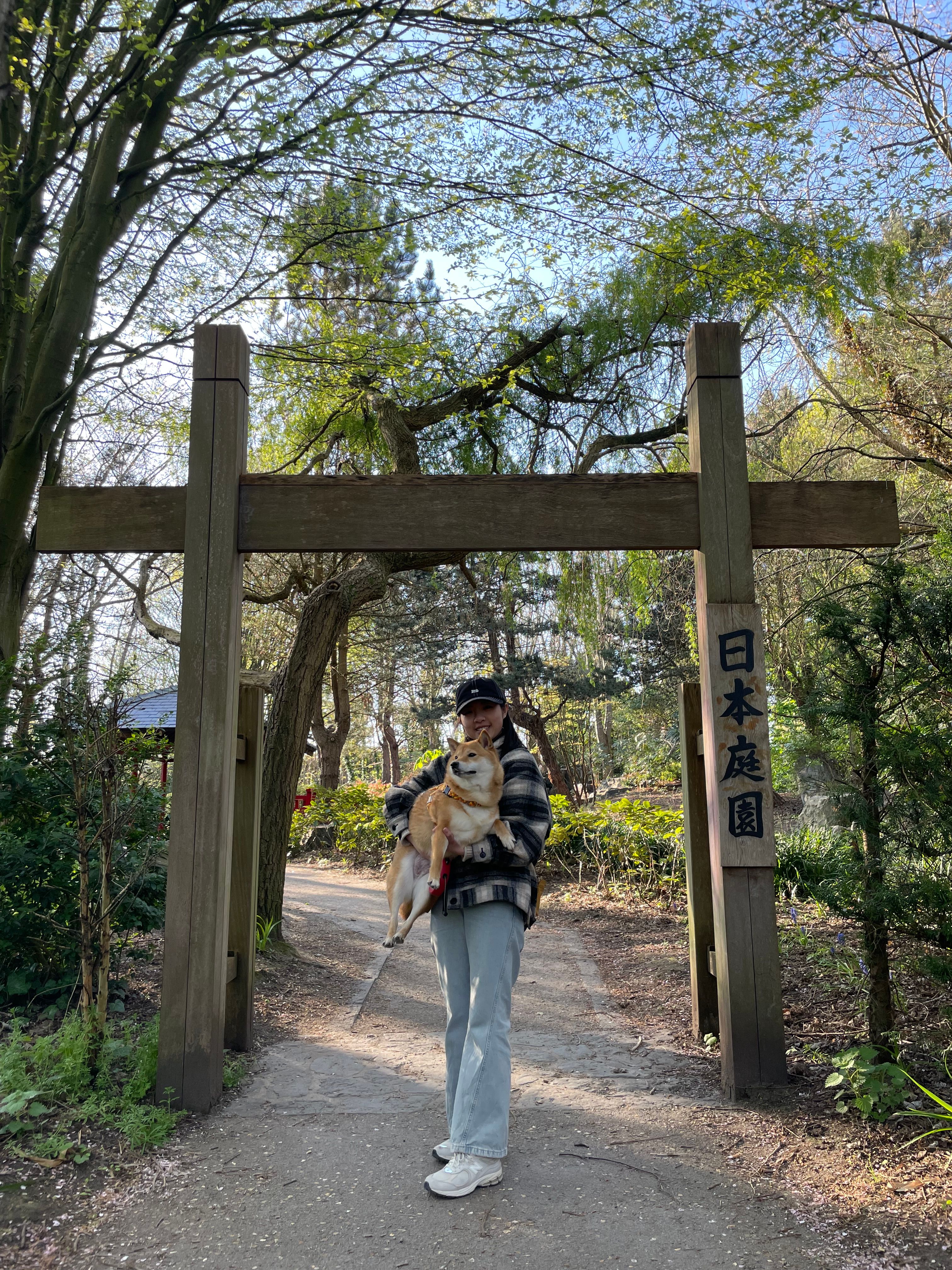 image-9