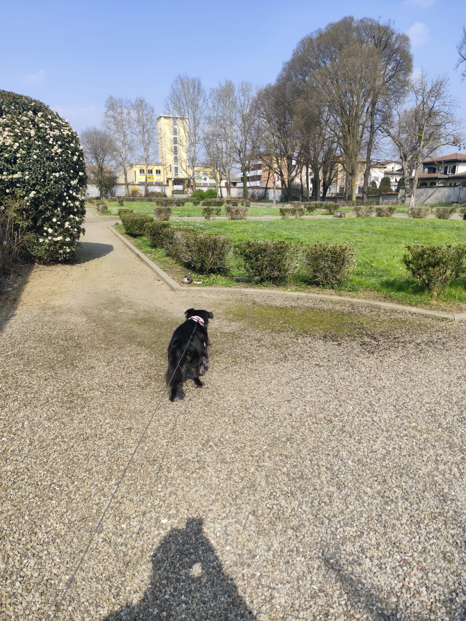 image-20