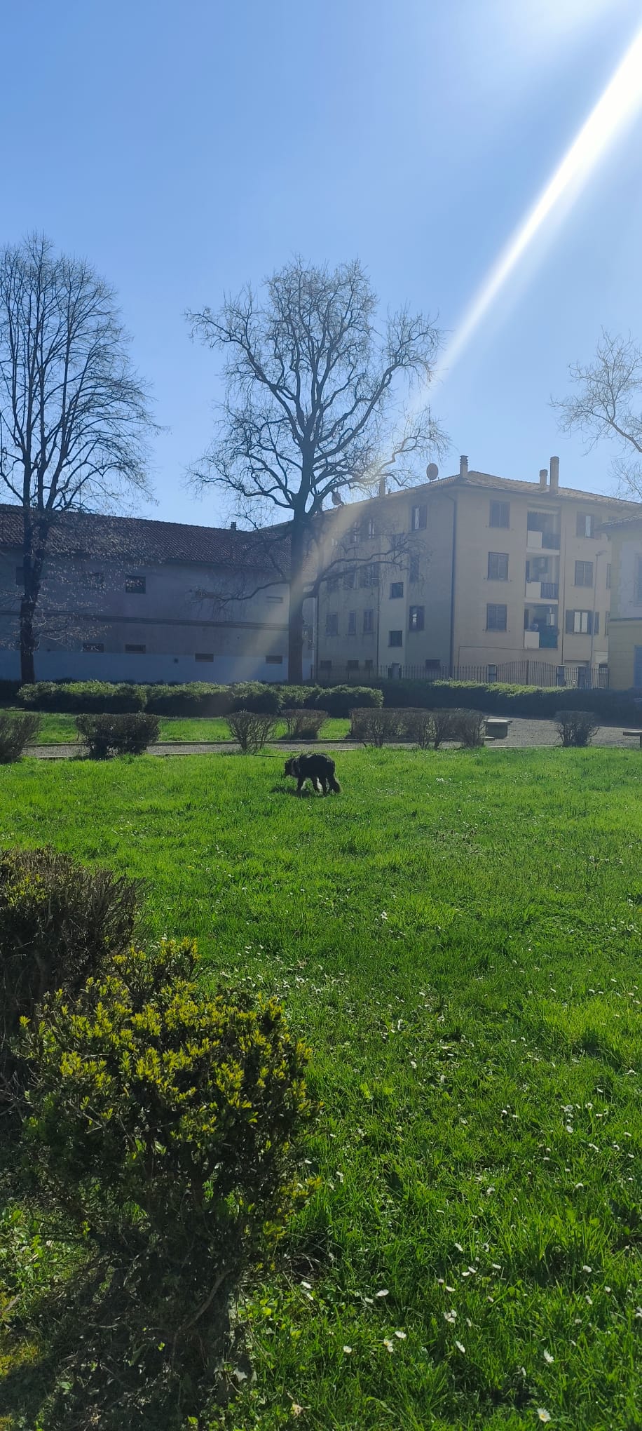 image-19