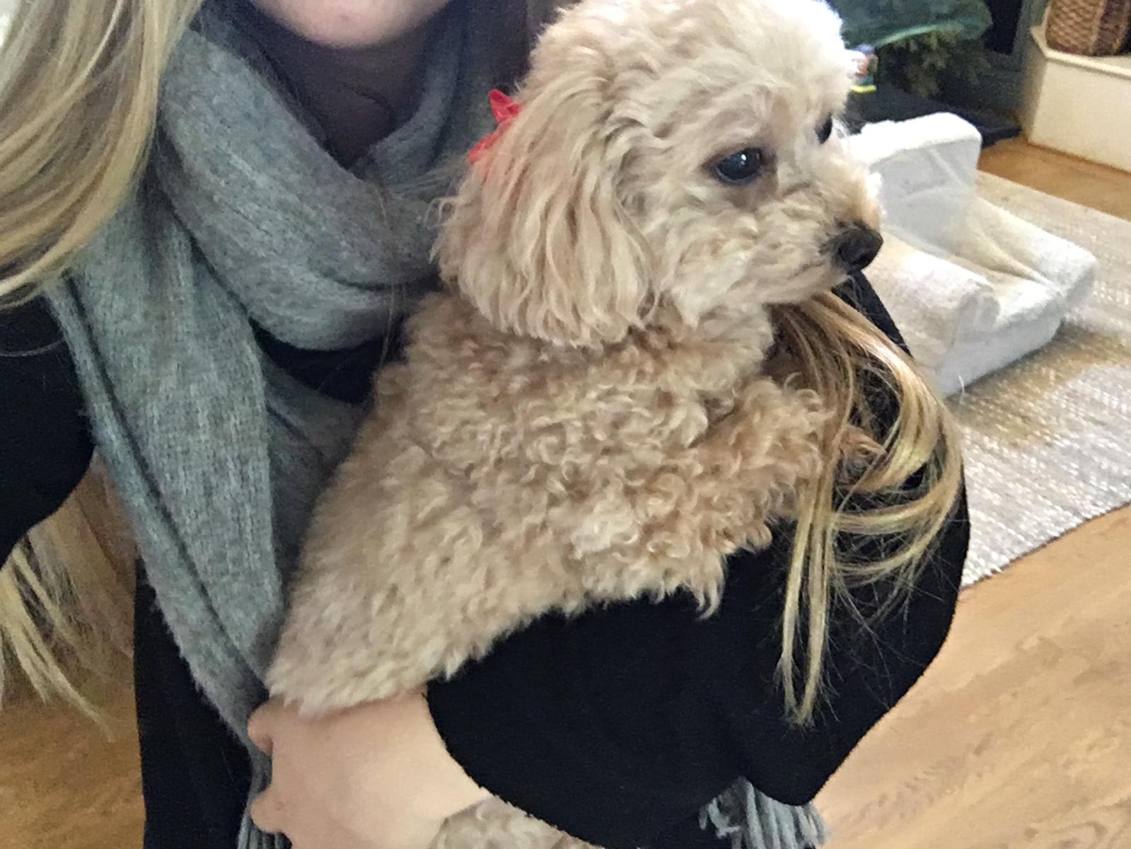image-3