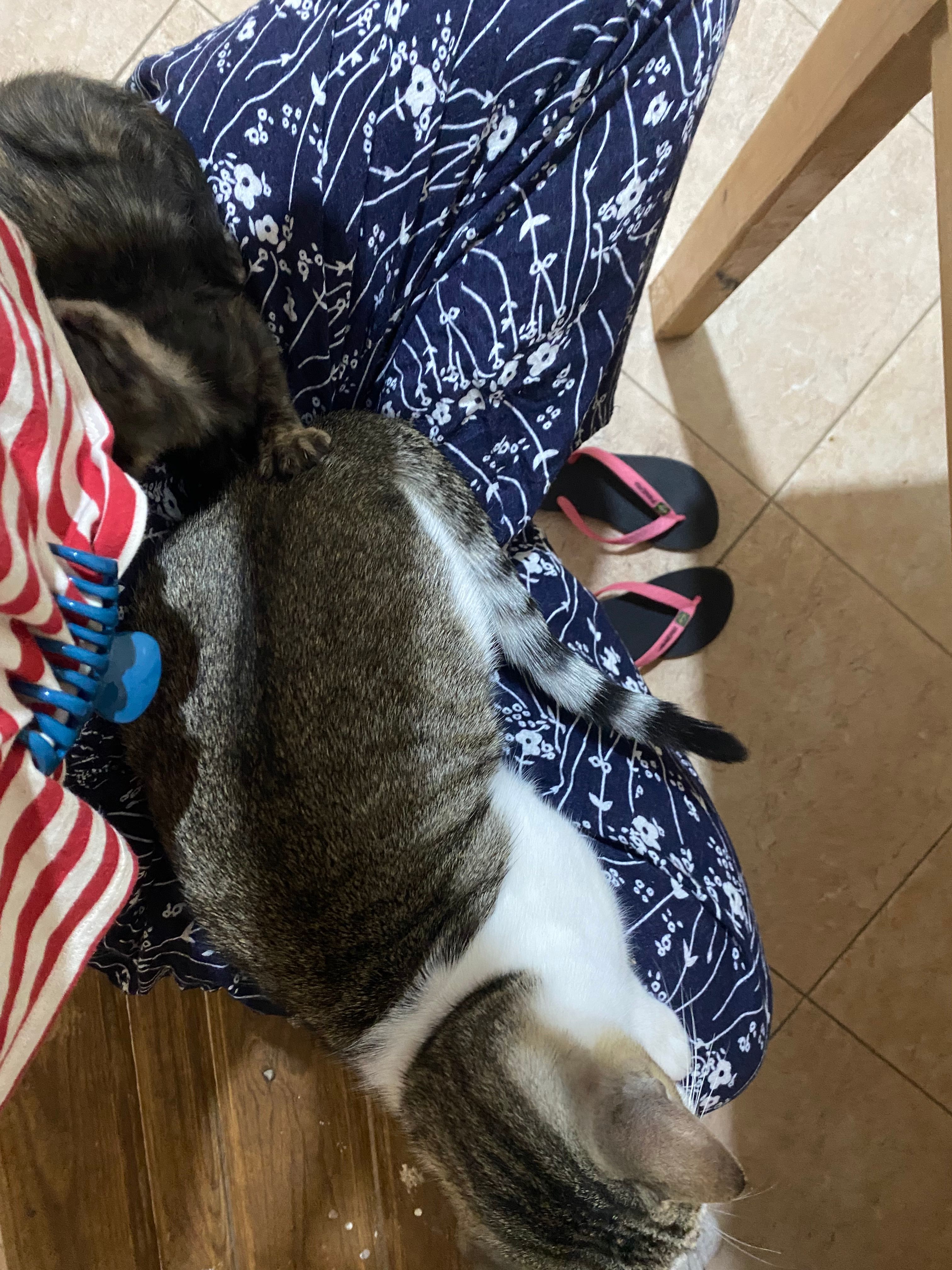 image-8