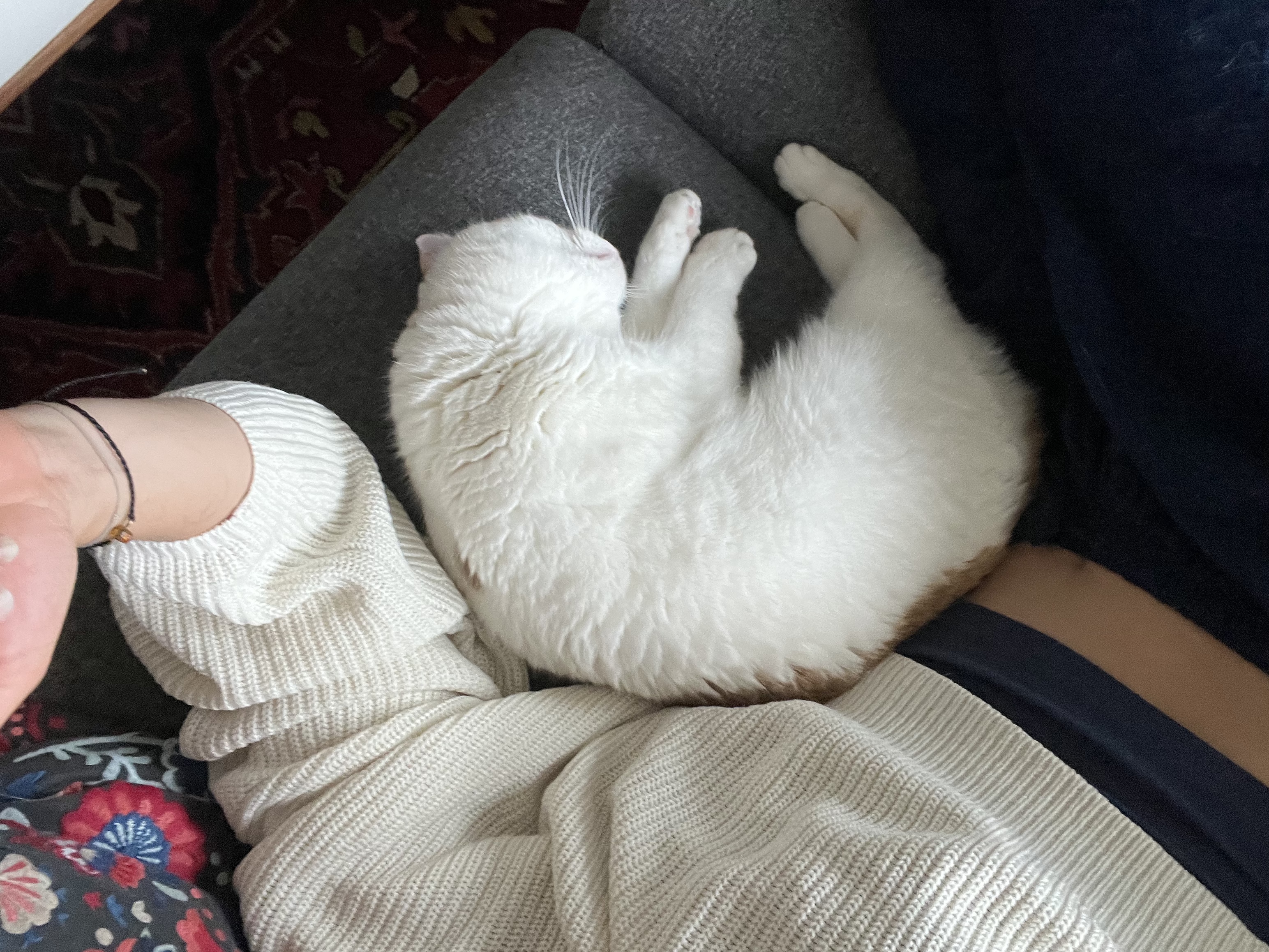 image-6
