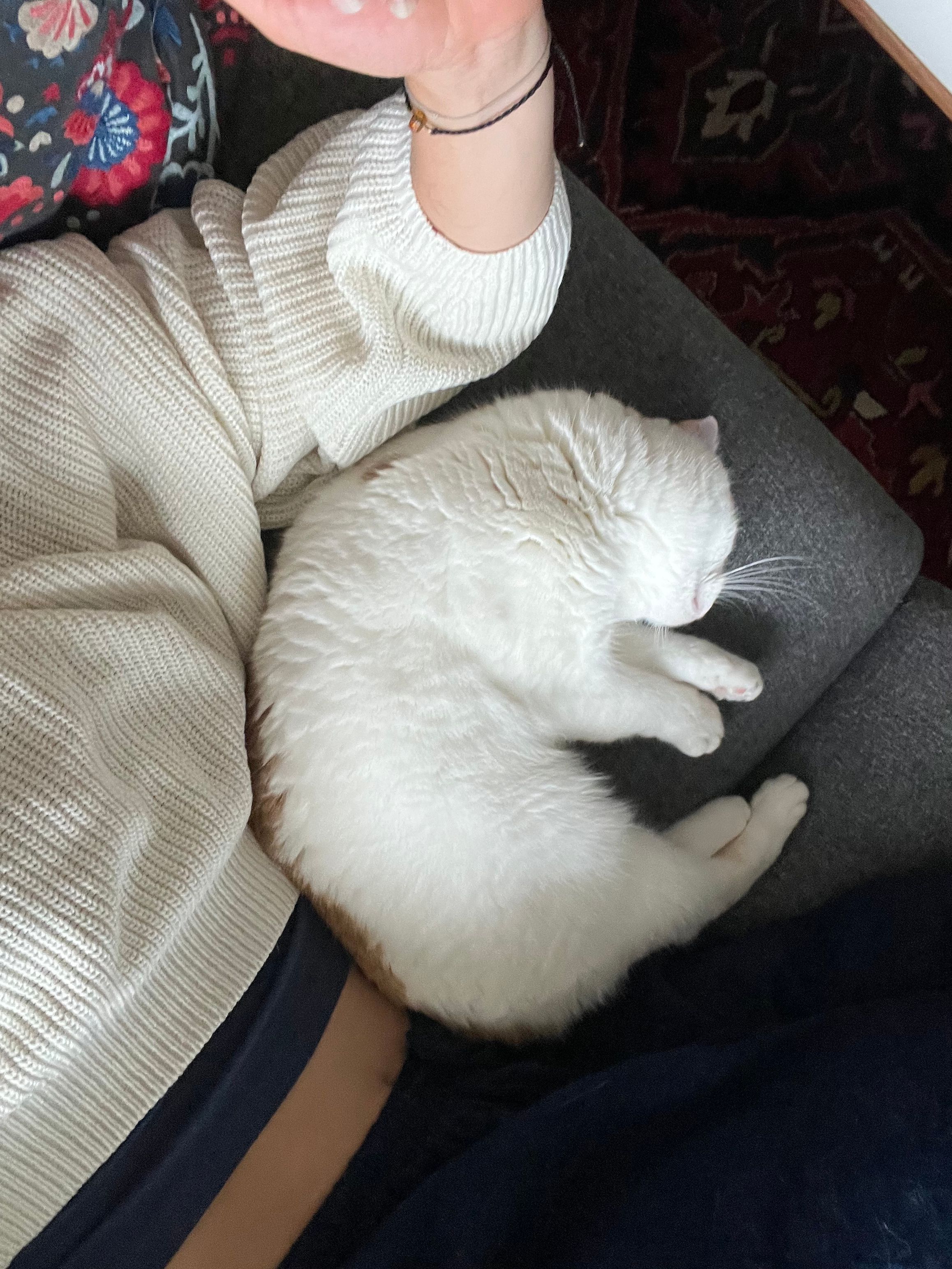 image-6