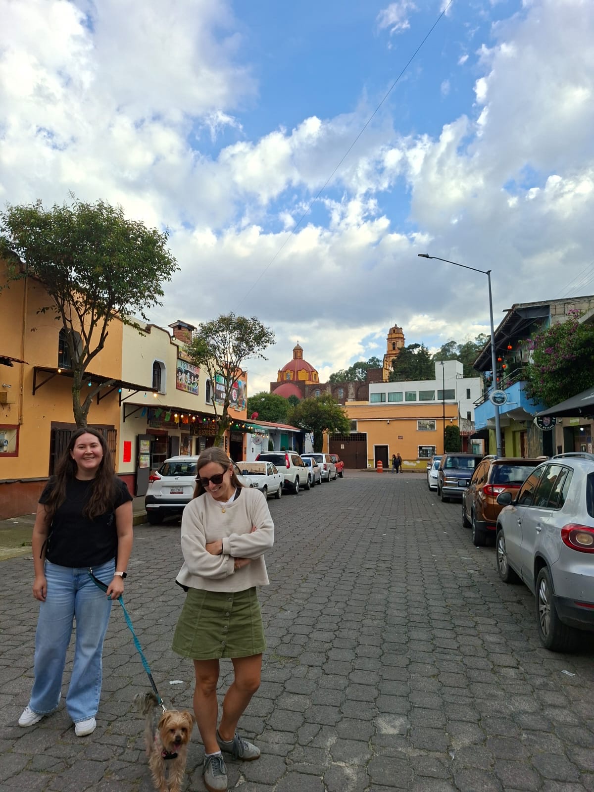 image-7