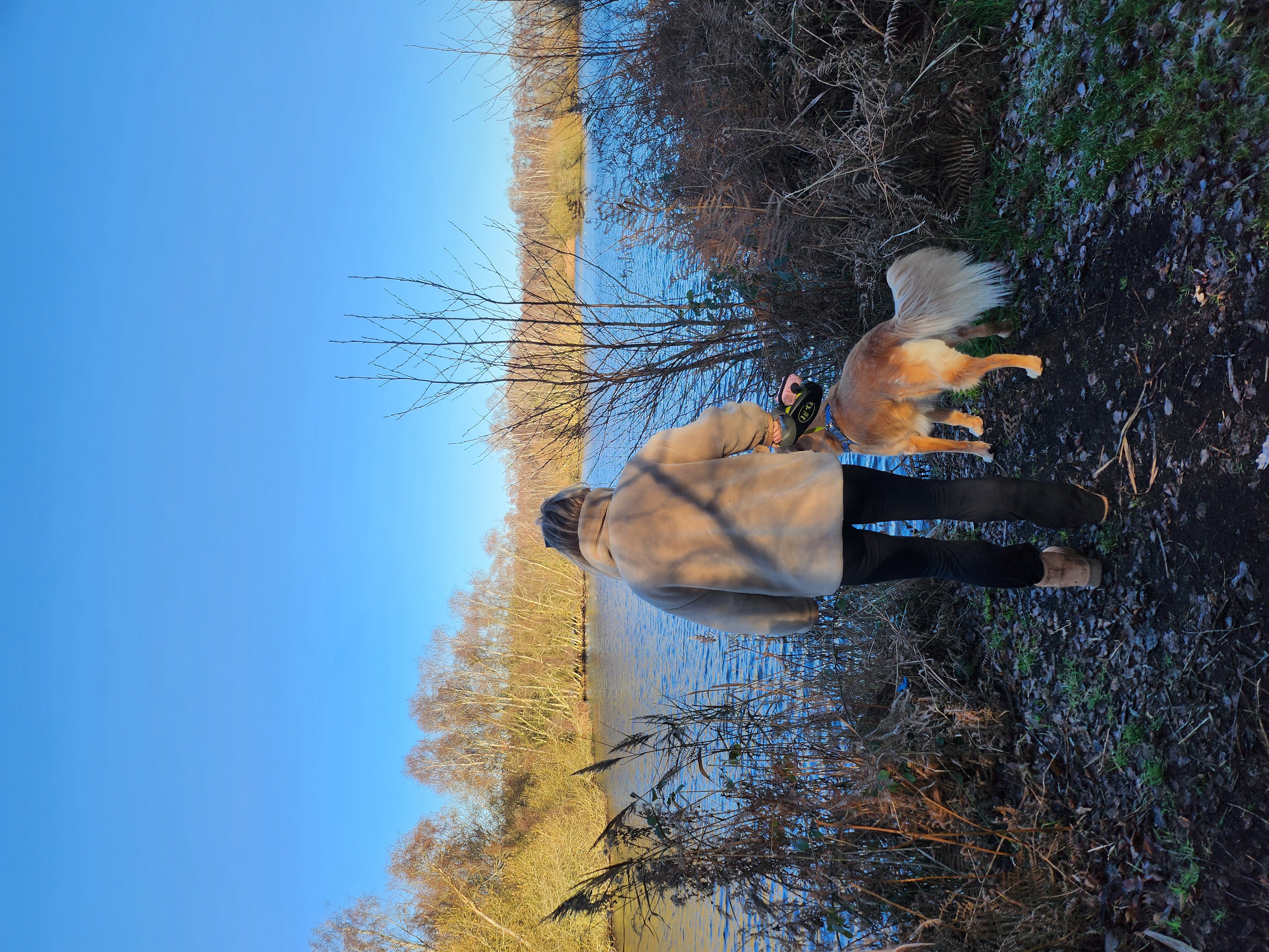 image-0