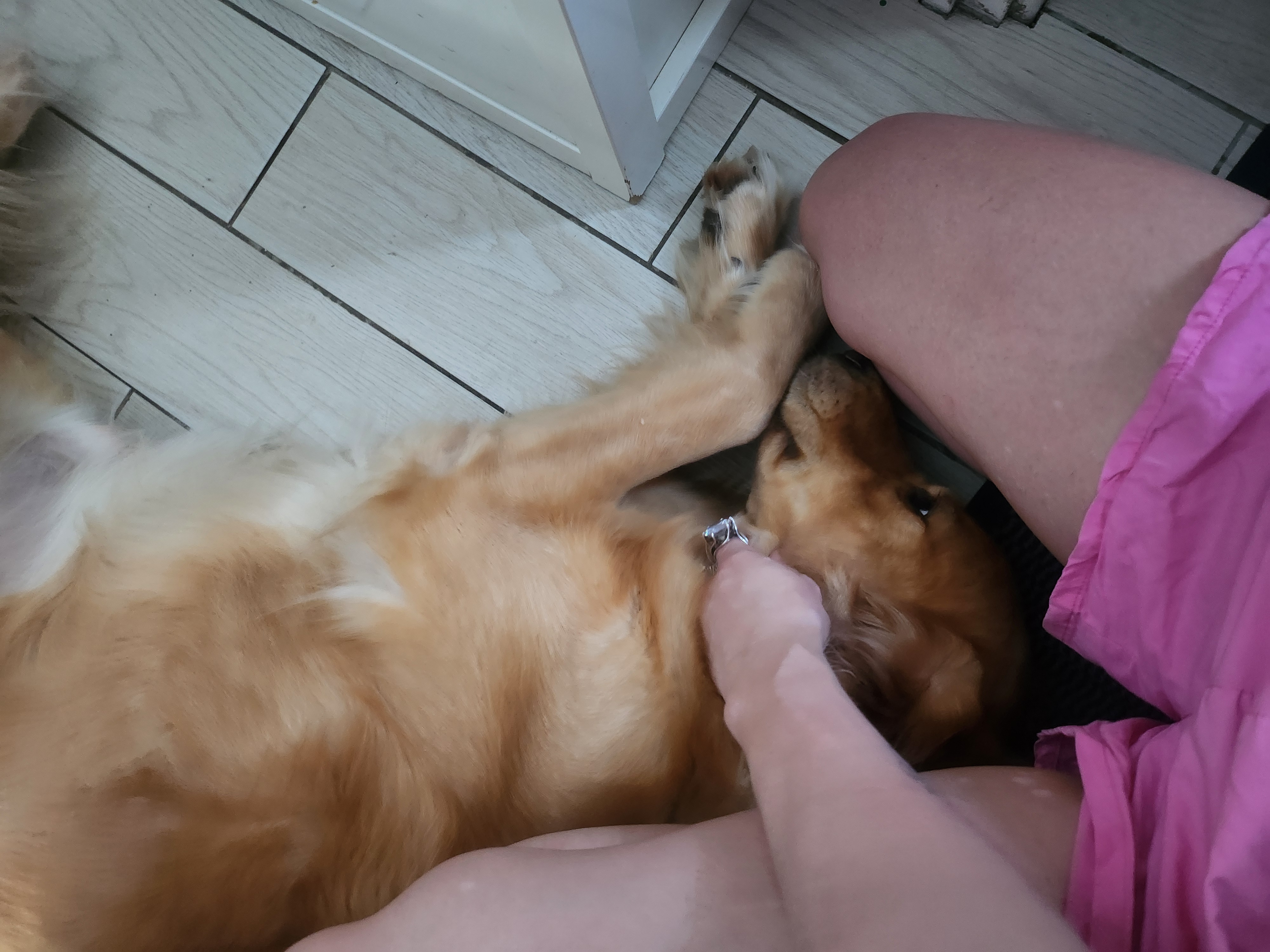image-5