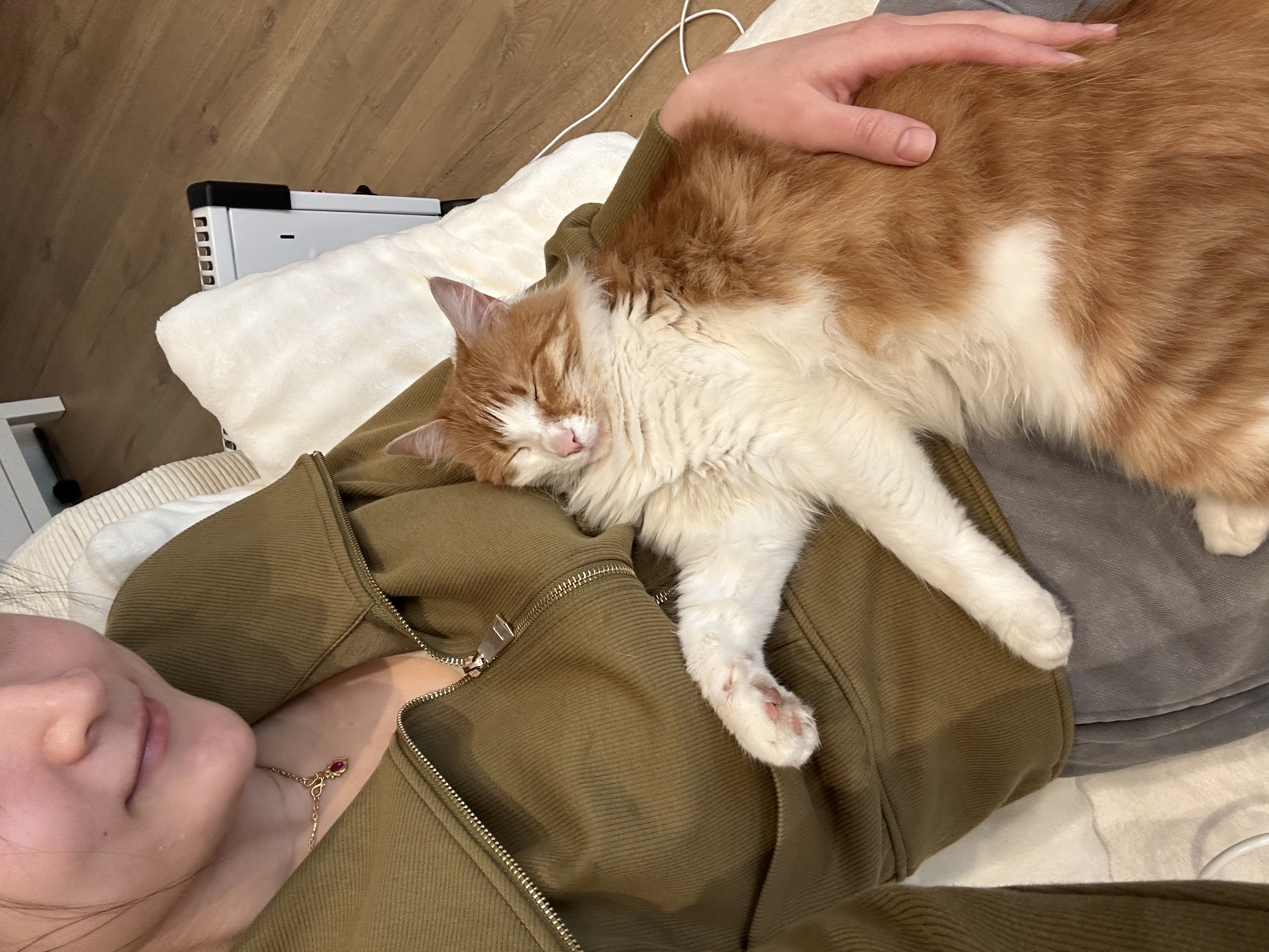 image-10