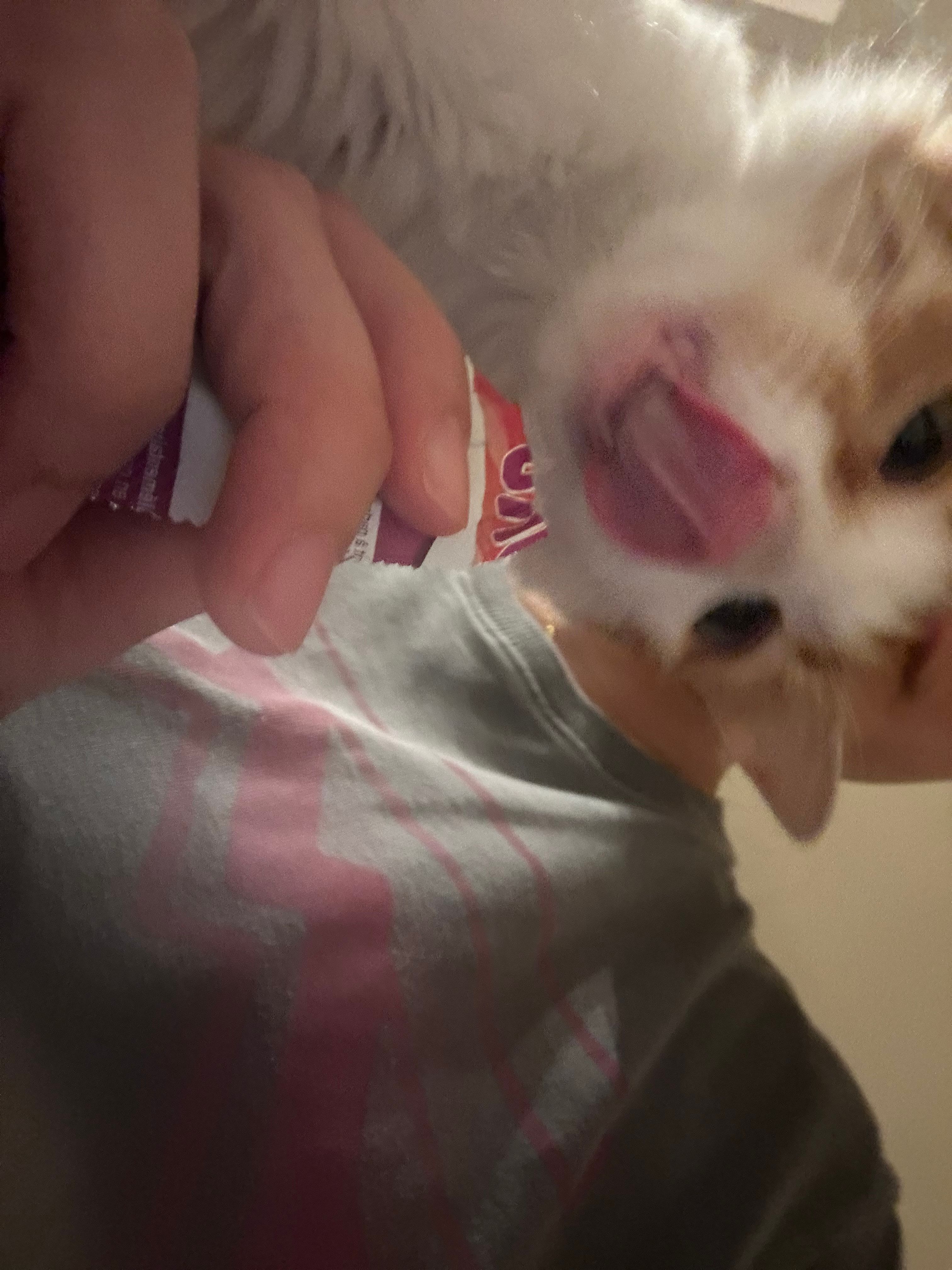 image-6