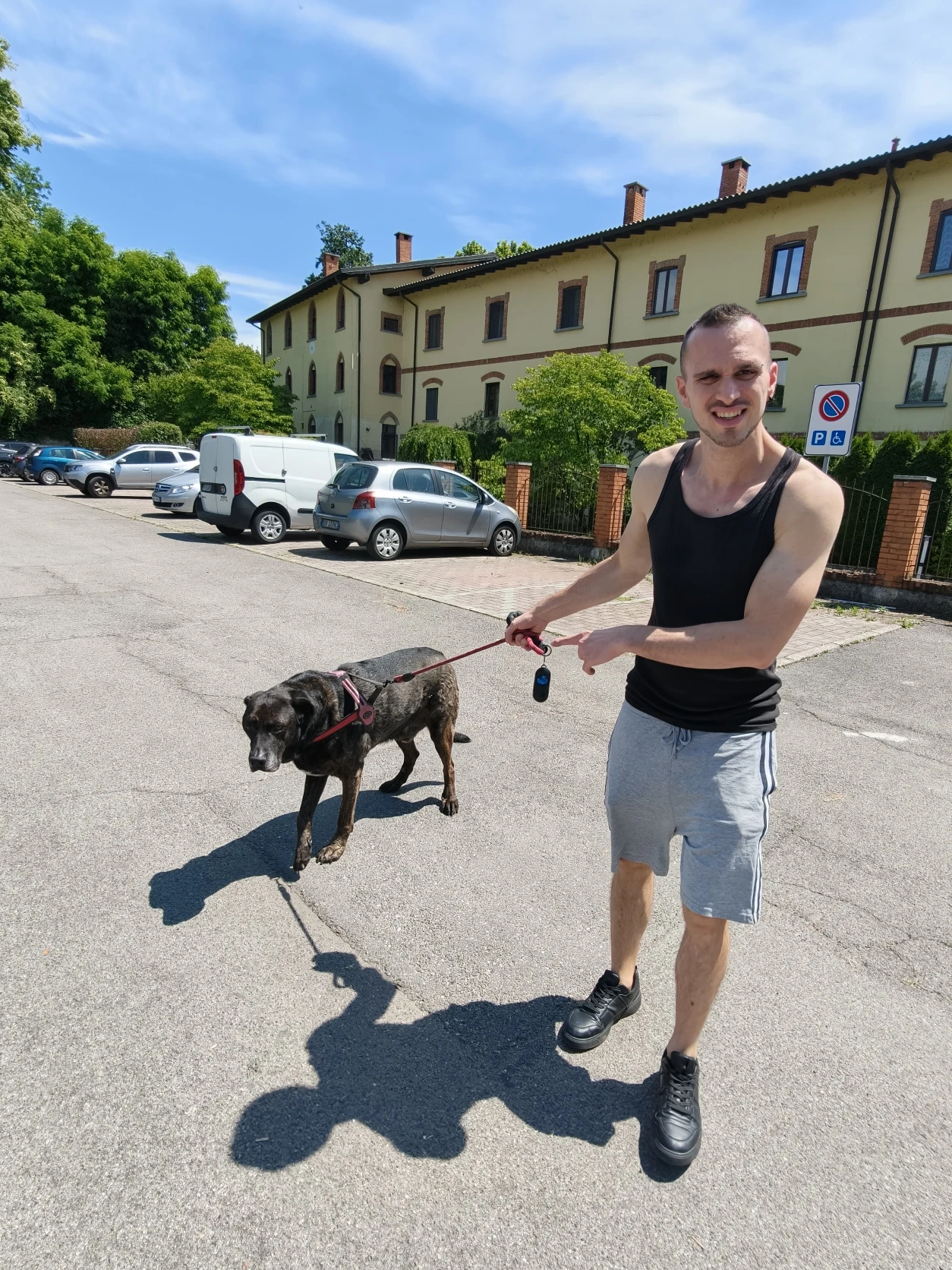 image-8