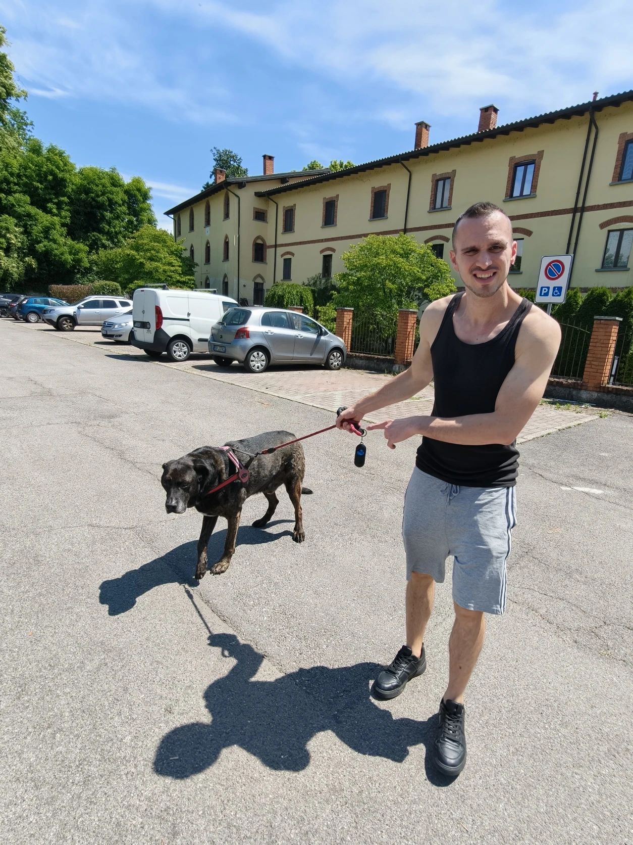 image-8