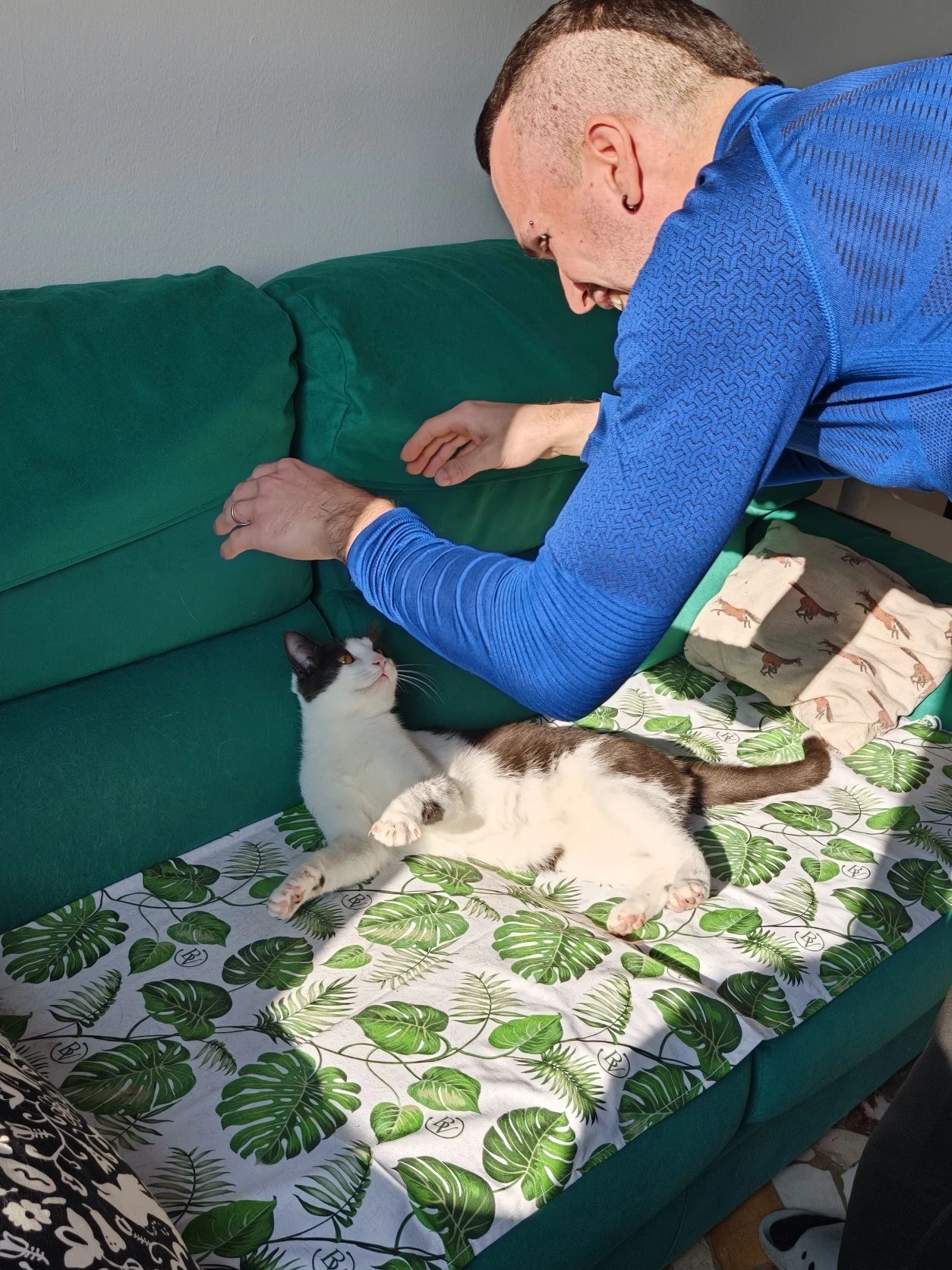 image-6