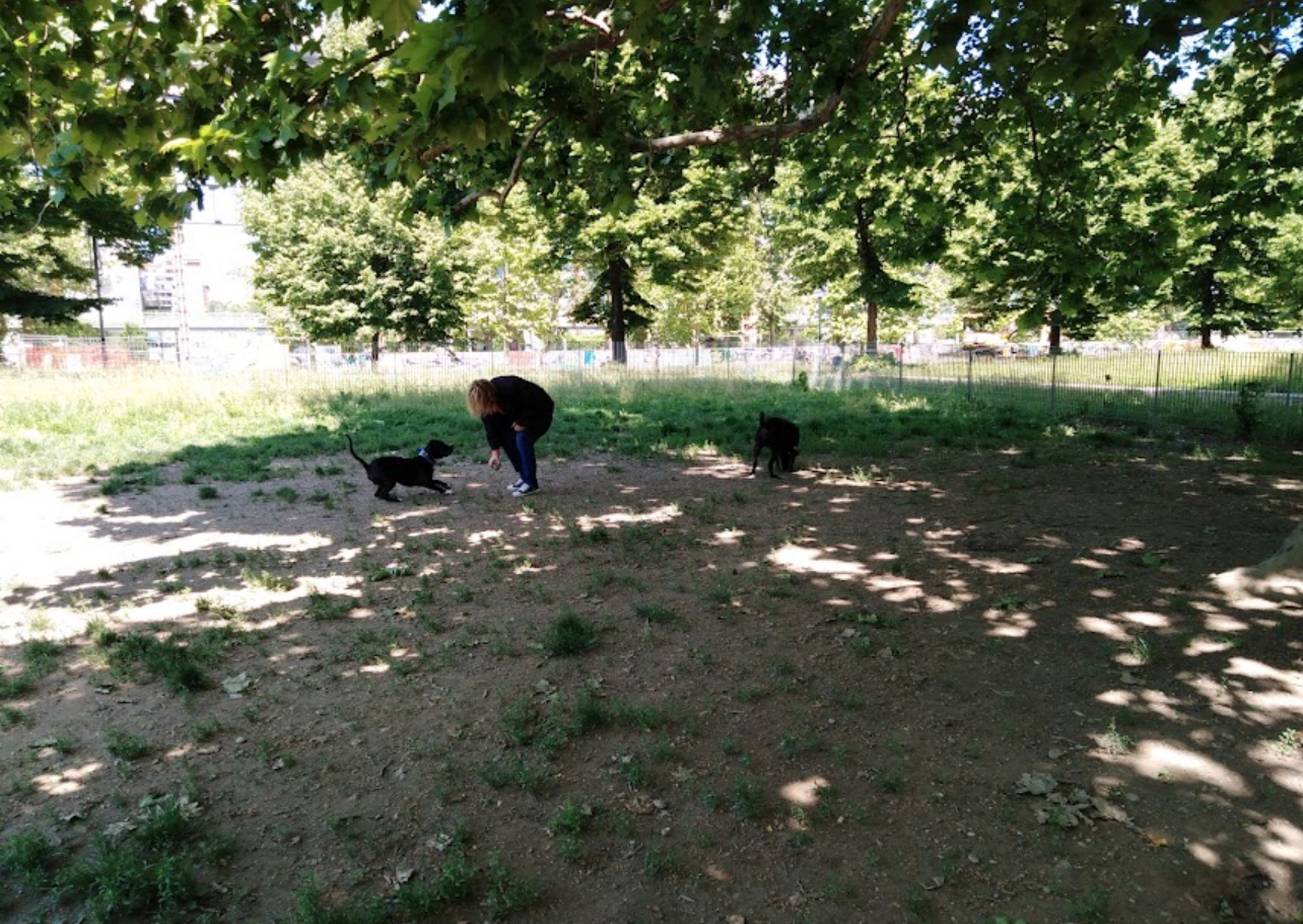 image-12