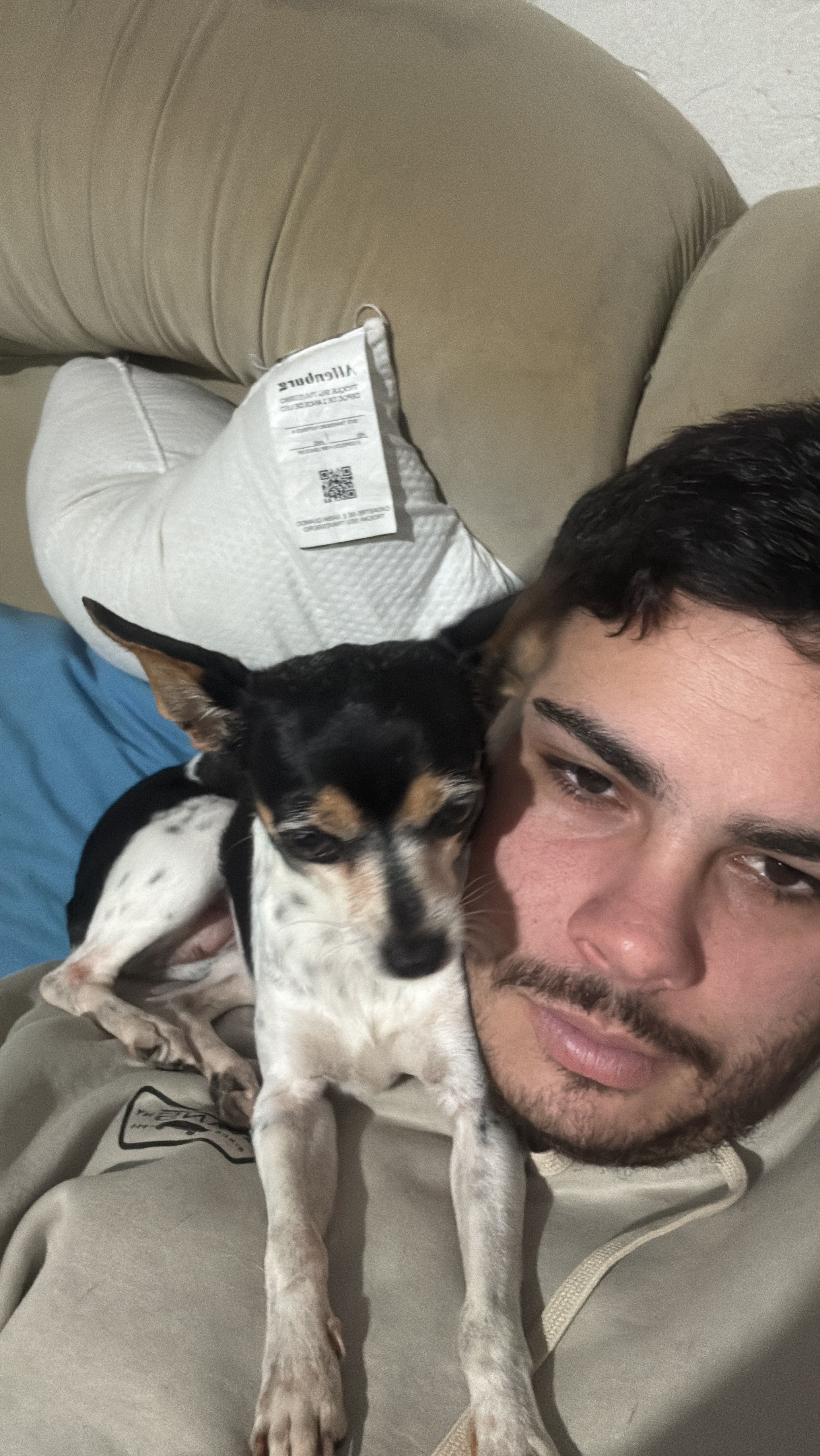 image-11