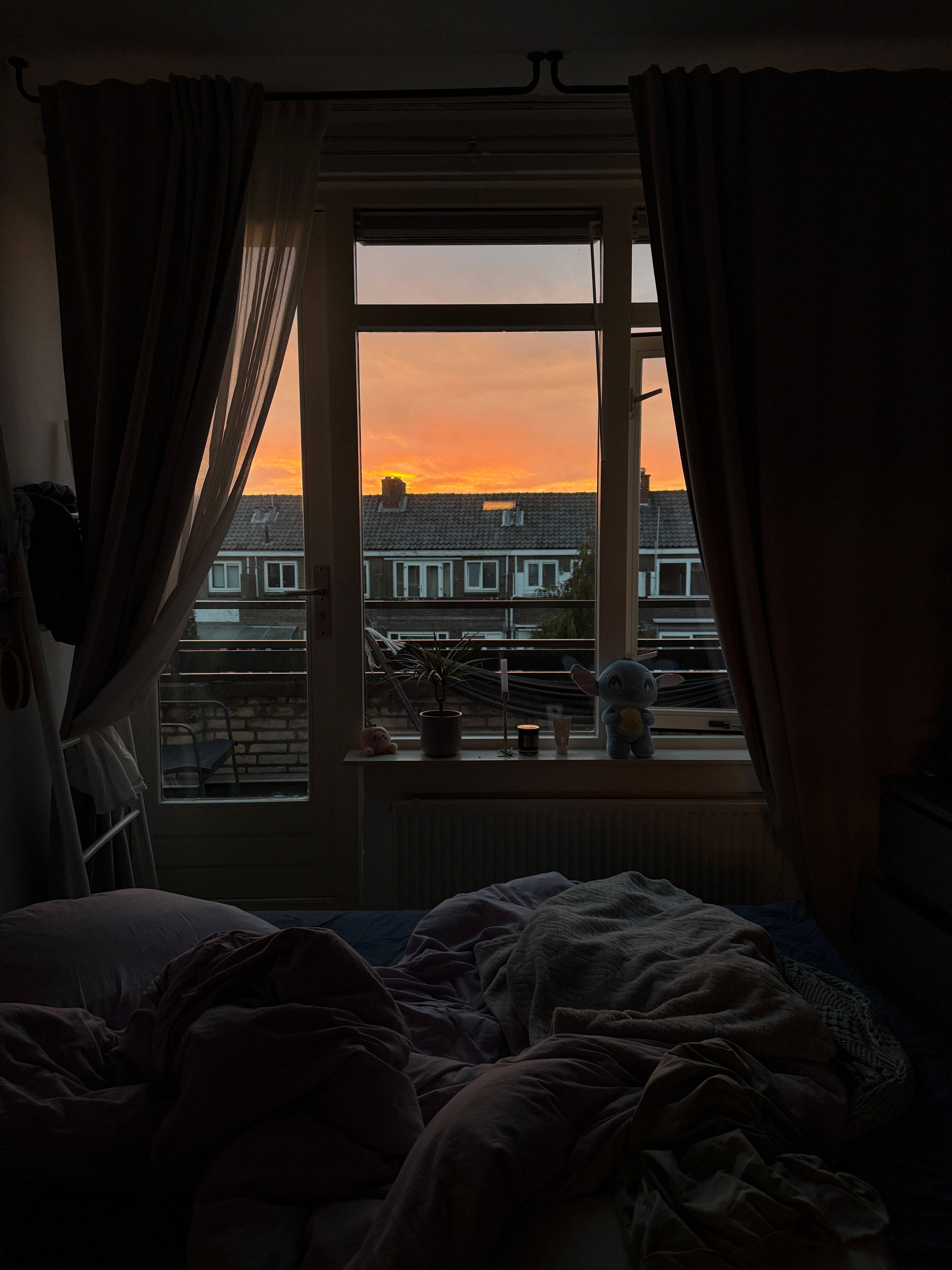 image-12