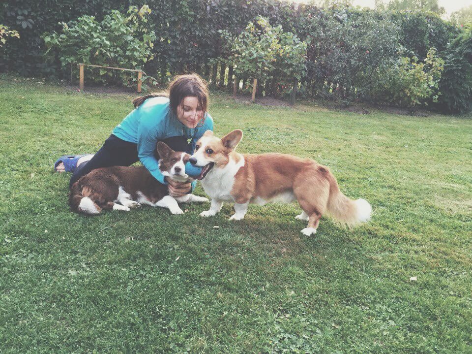 image-3