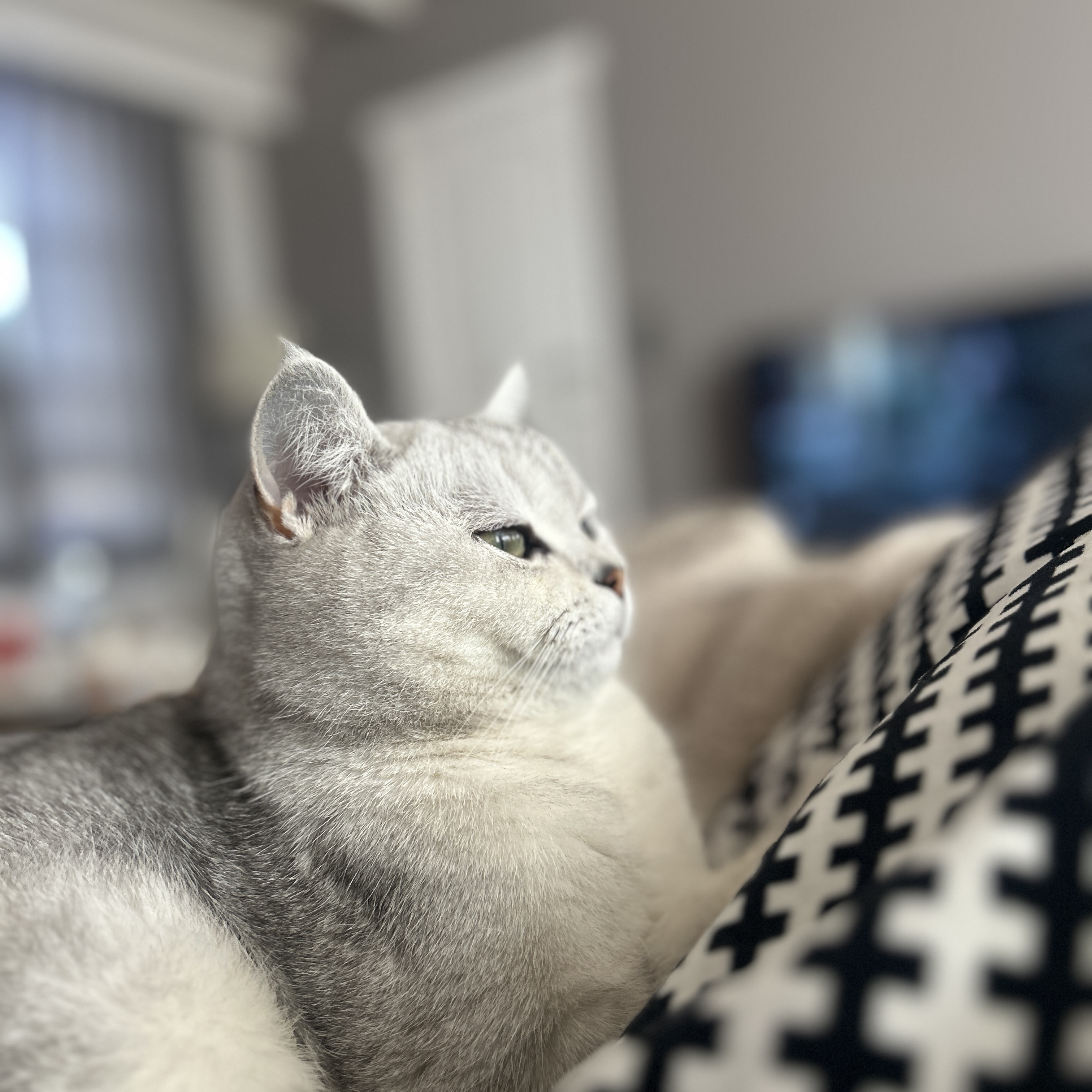 Mila