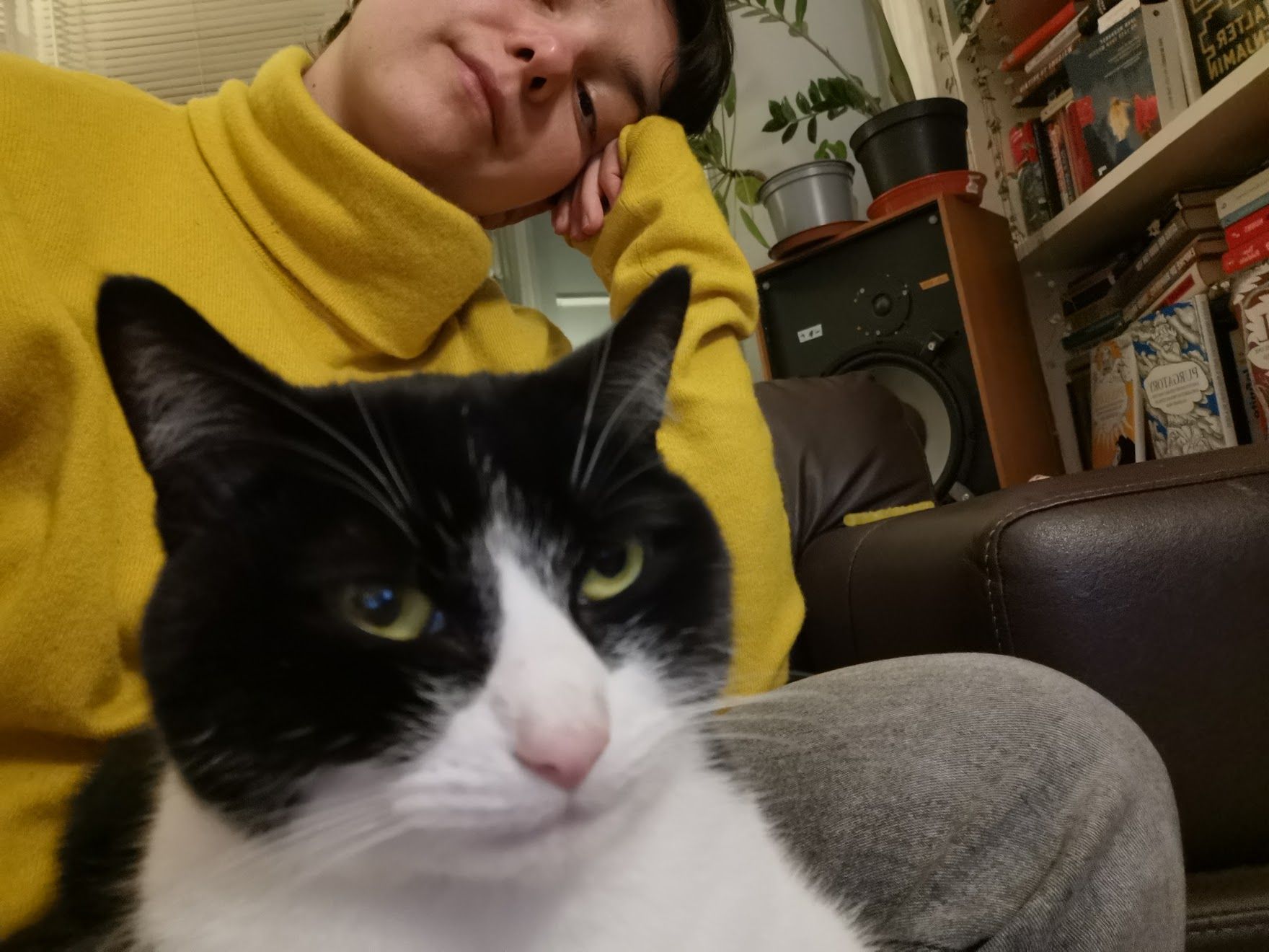 image-1