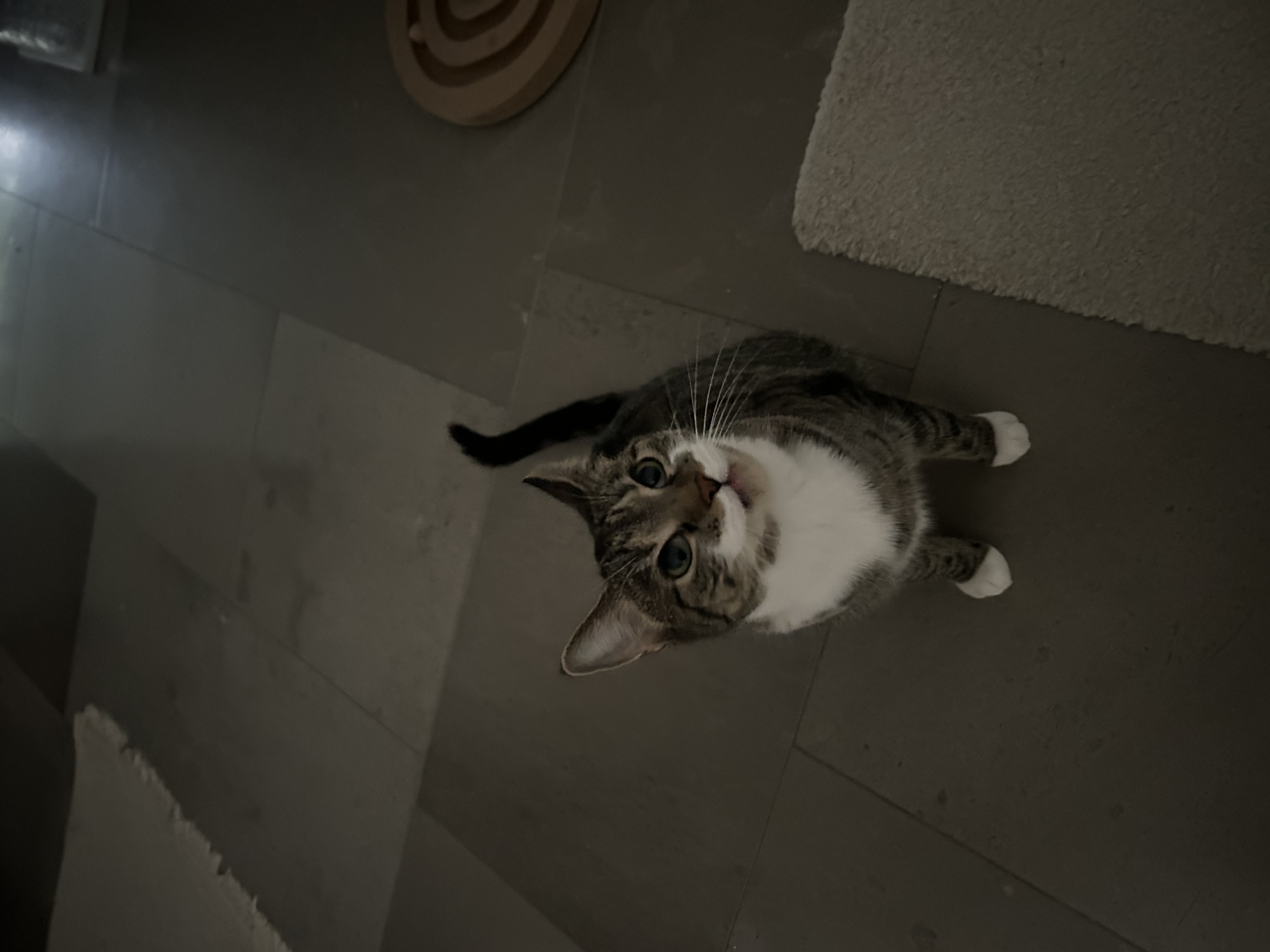 image-17