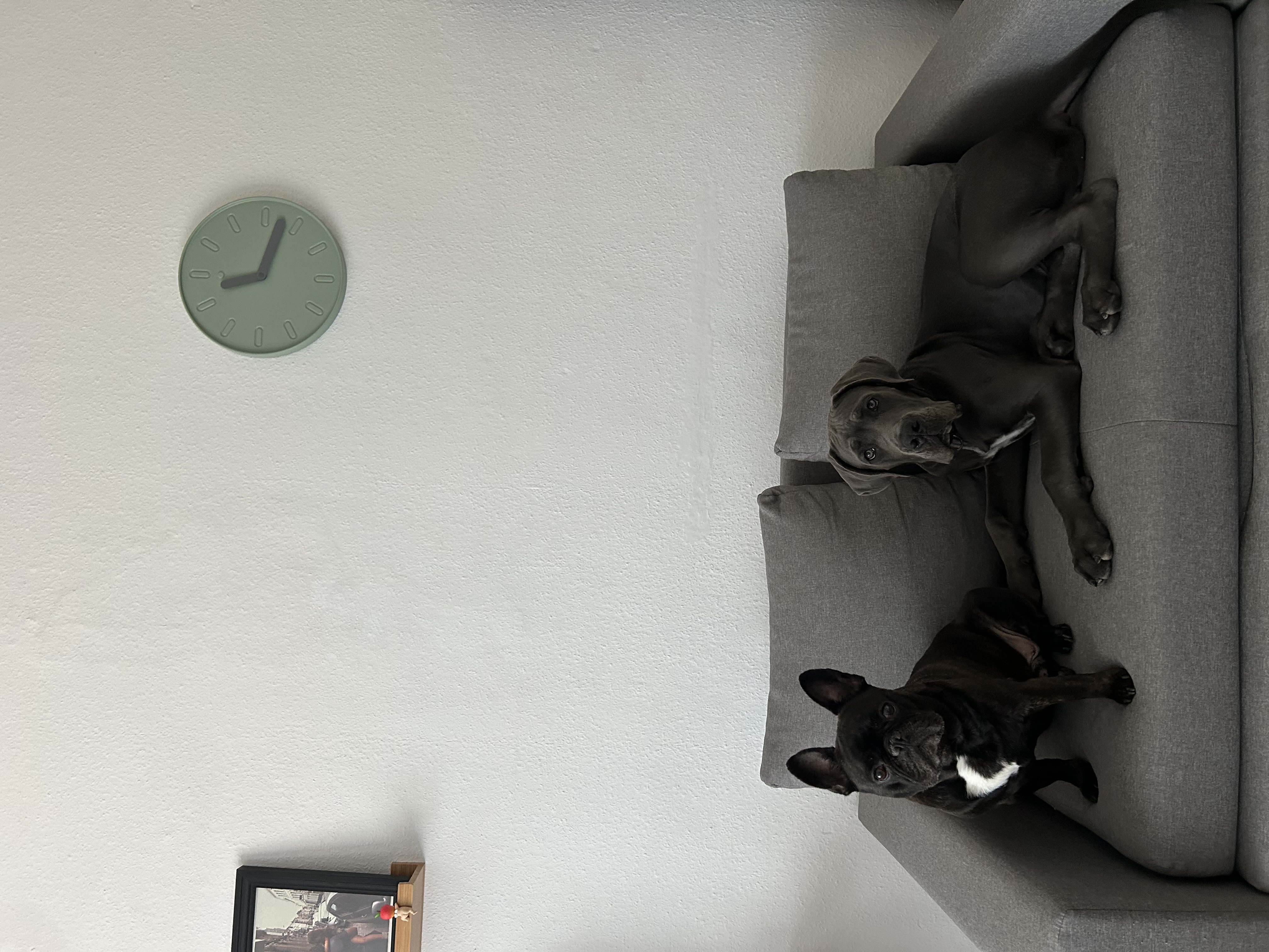 image-49