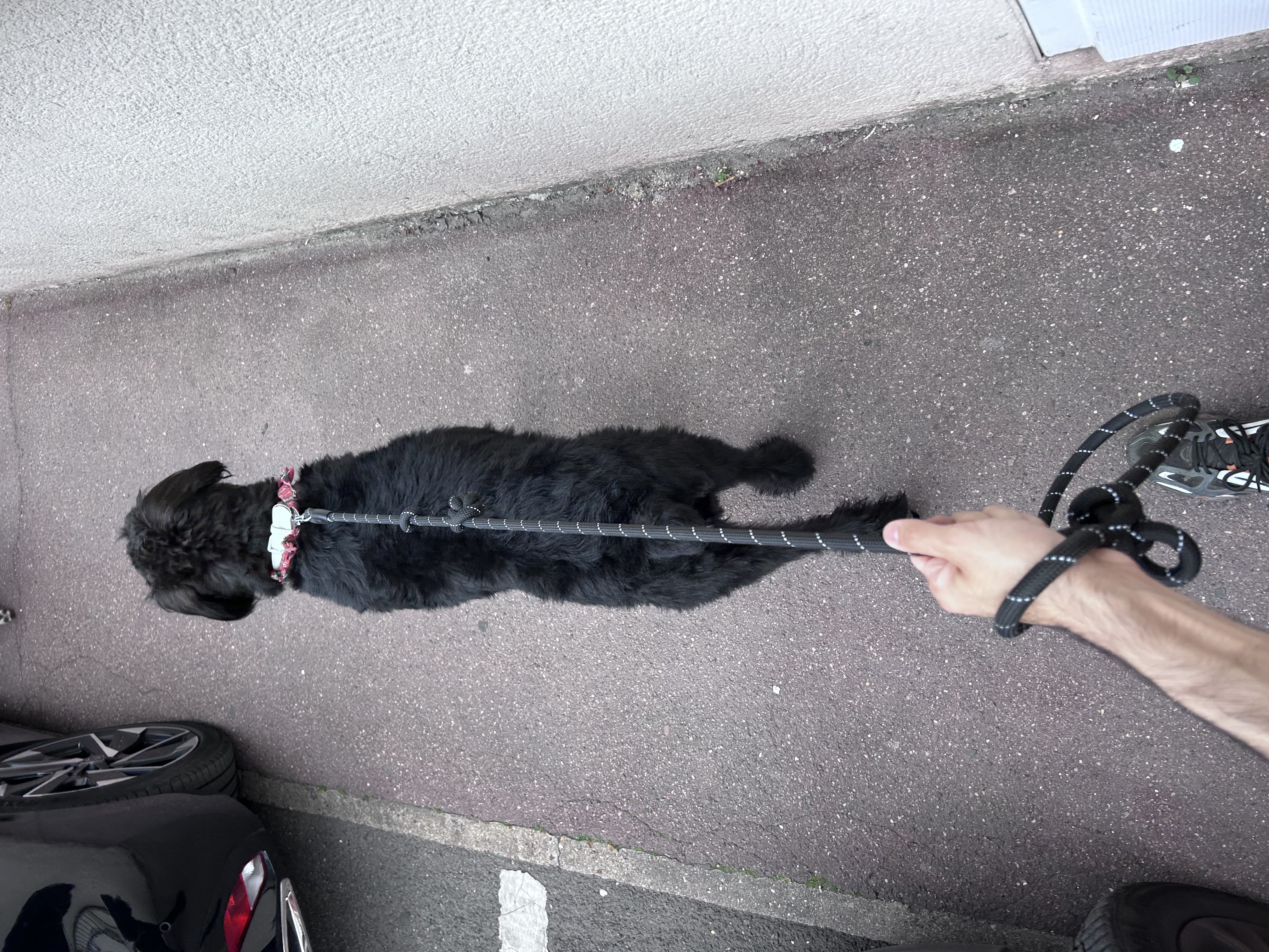 image-5