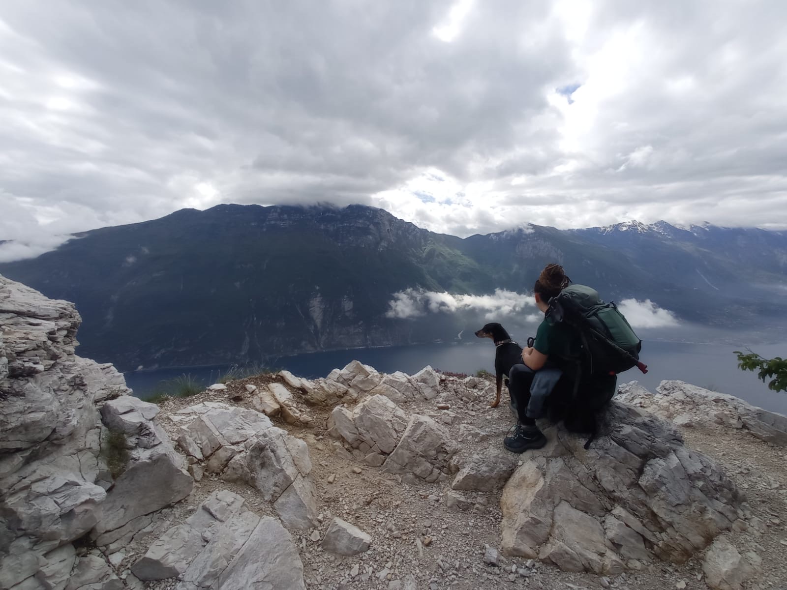 image-9
