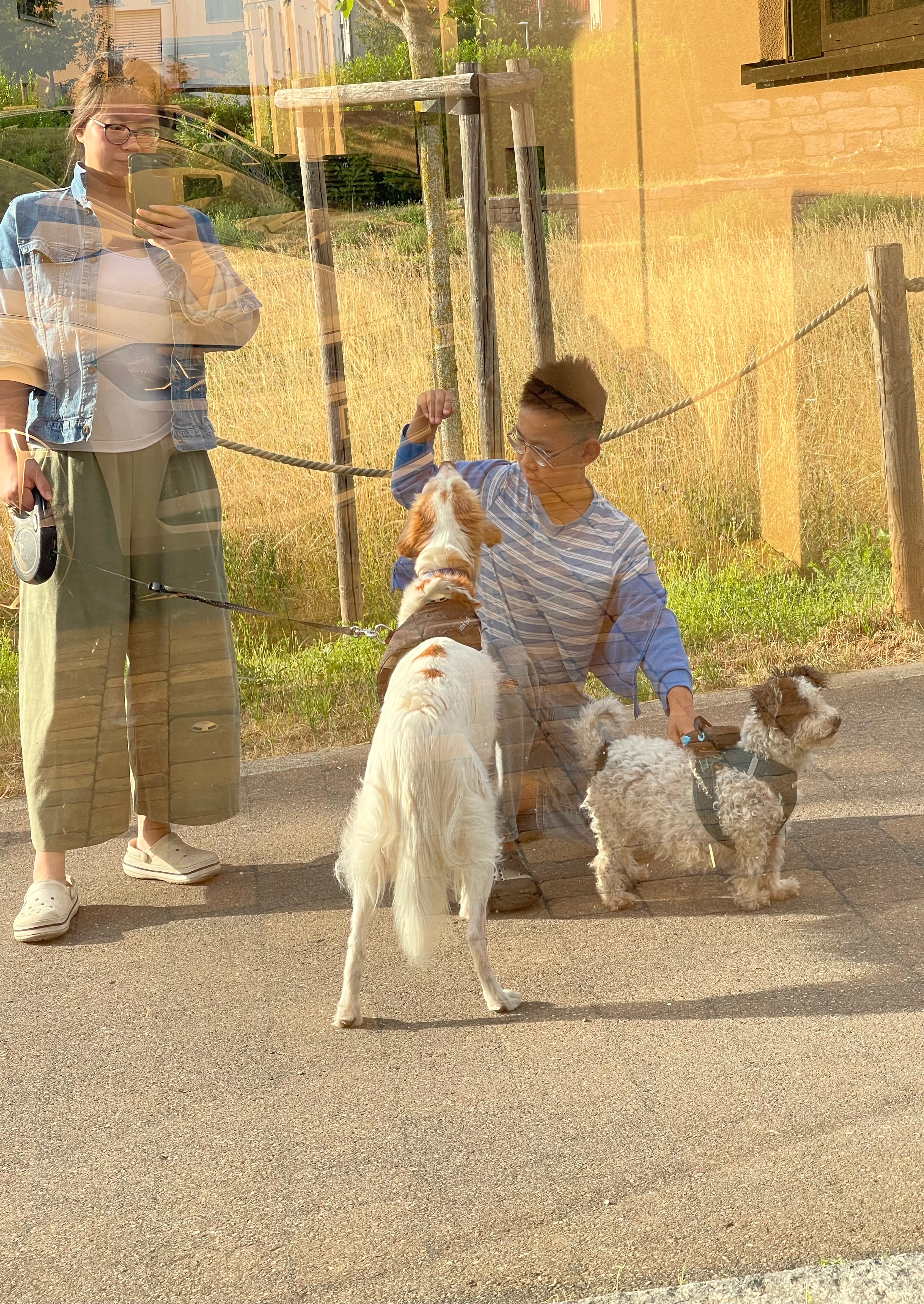 image-7