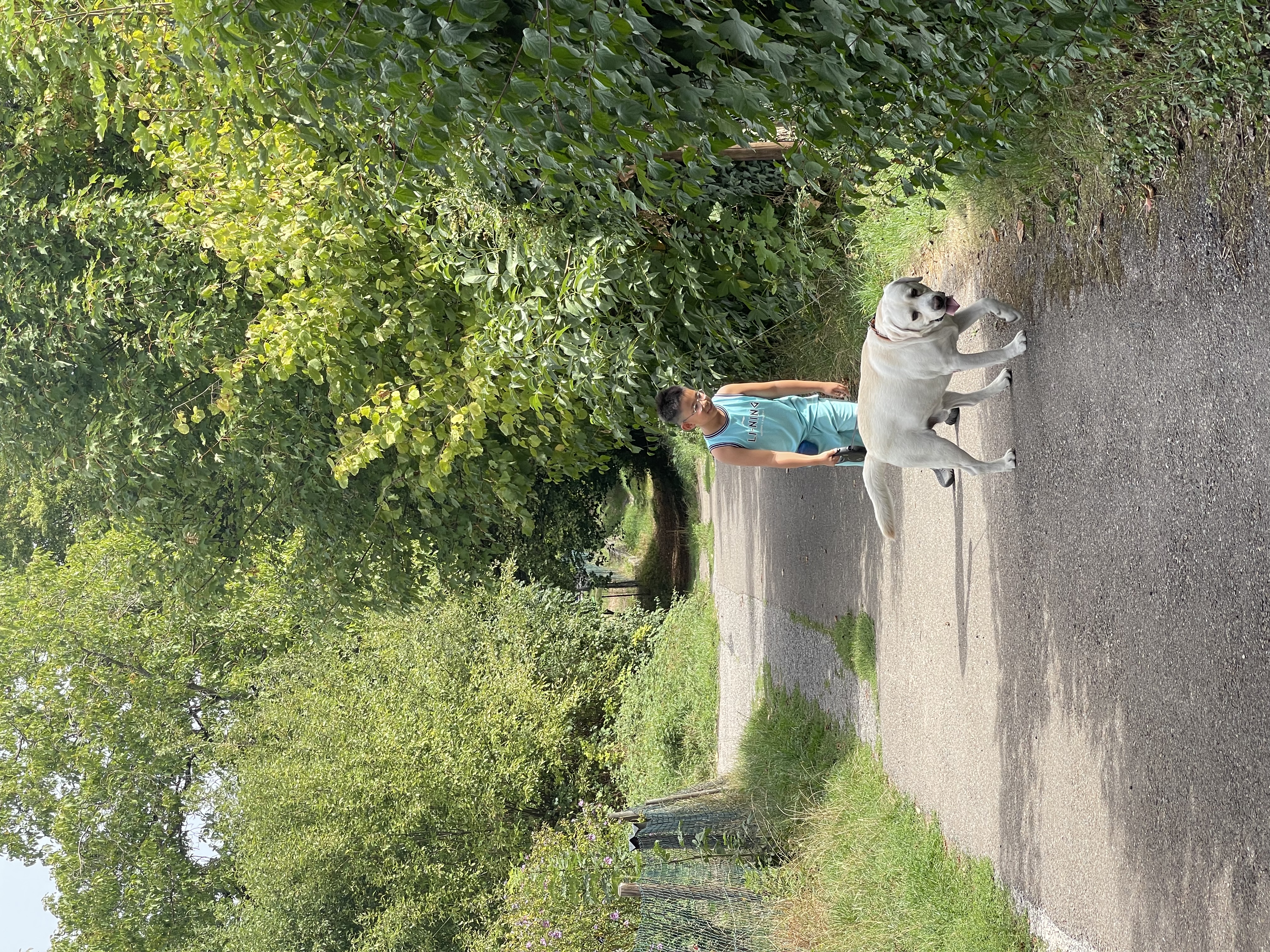 image-51