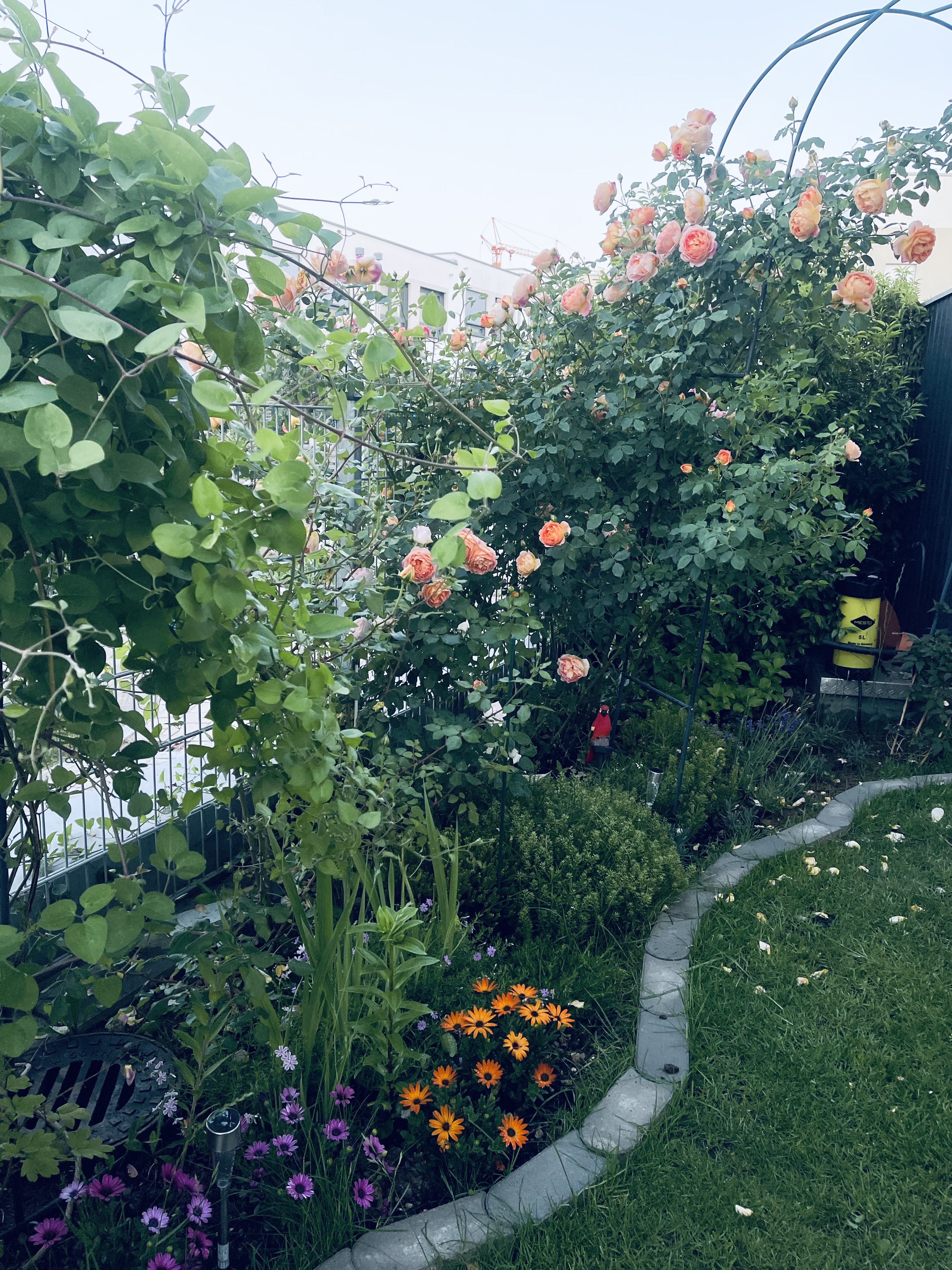 image-20