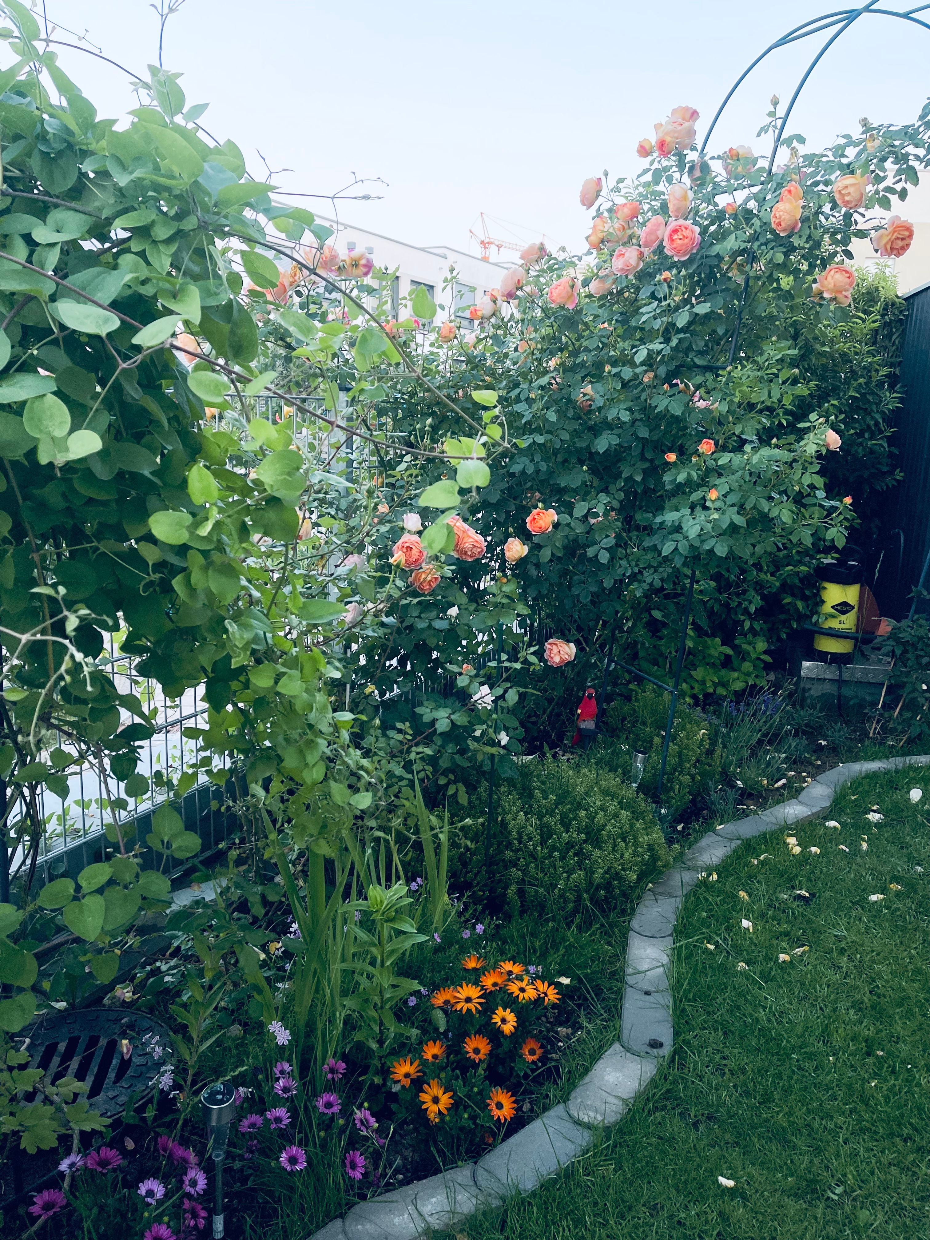 image-20