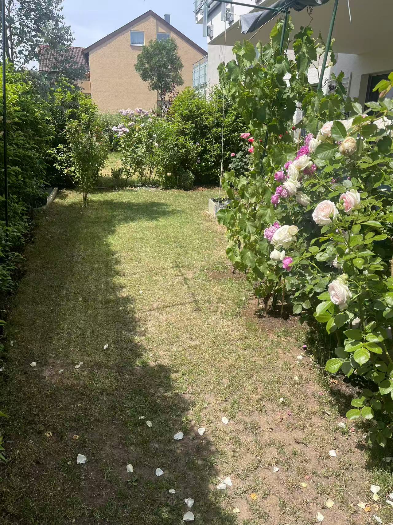 image-18
