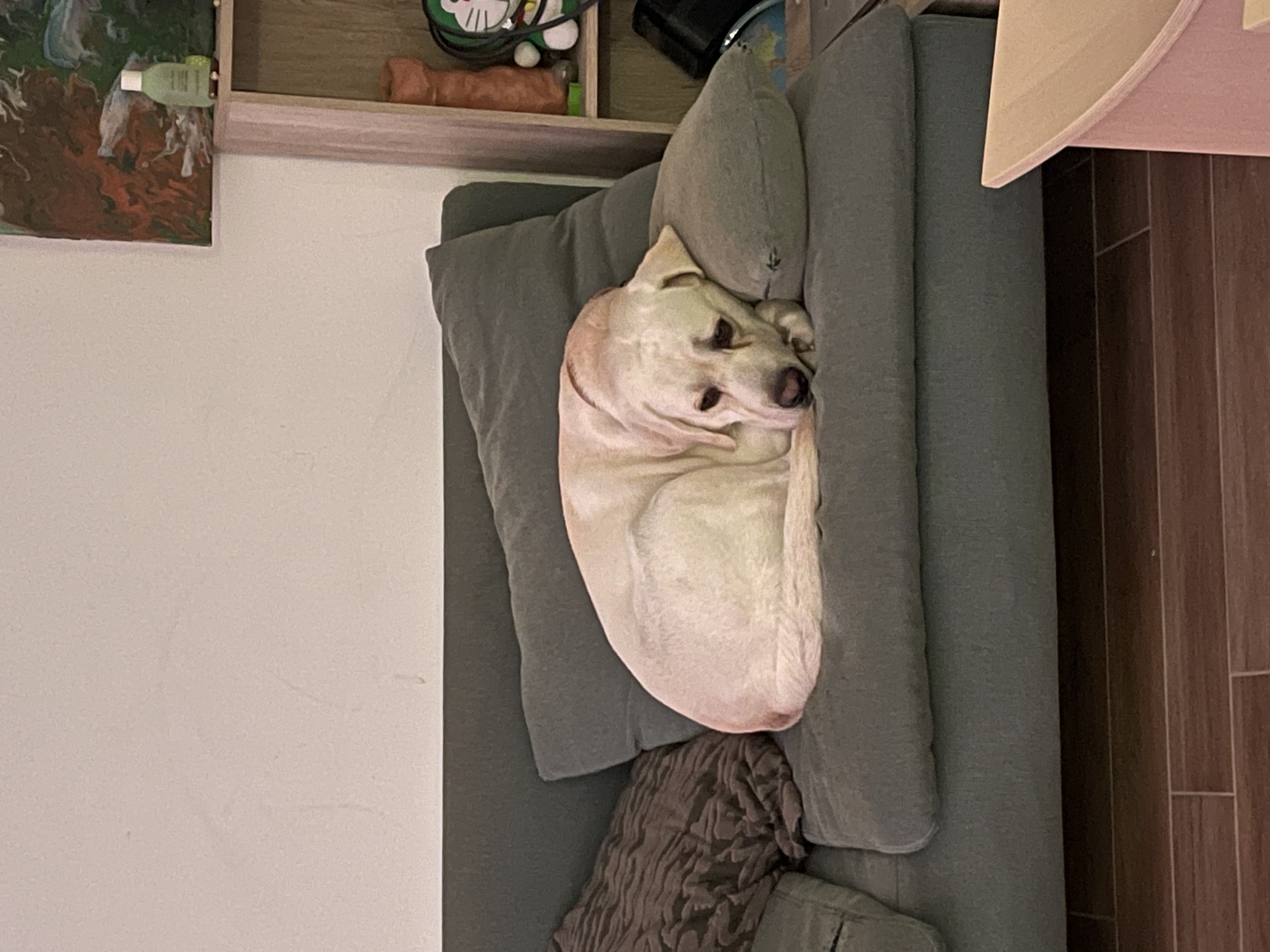 image-48