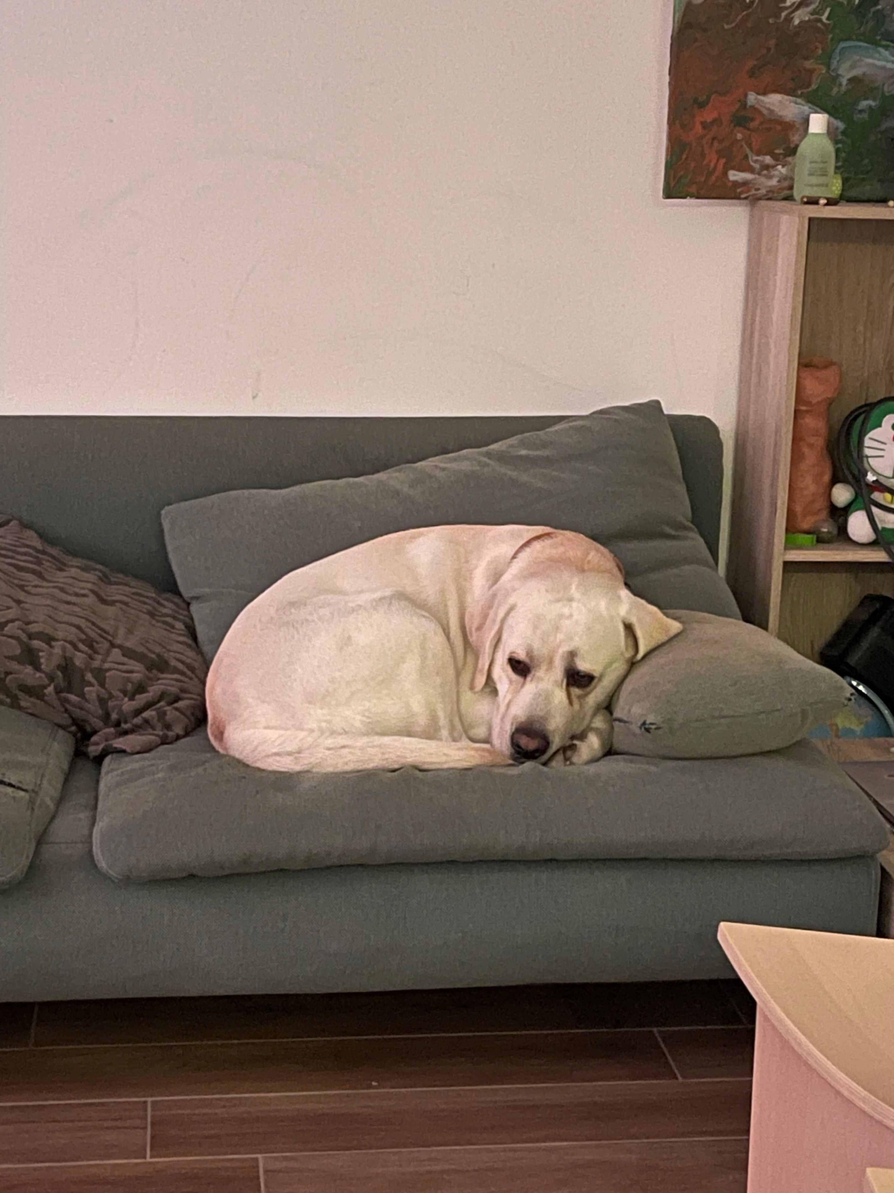 image-48
