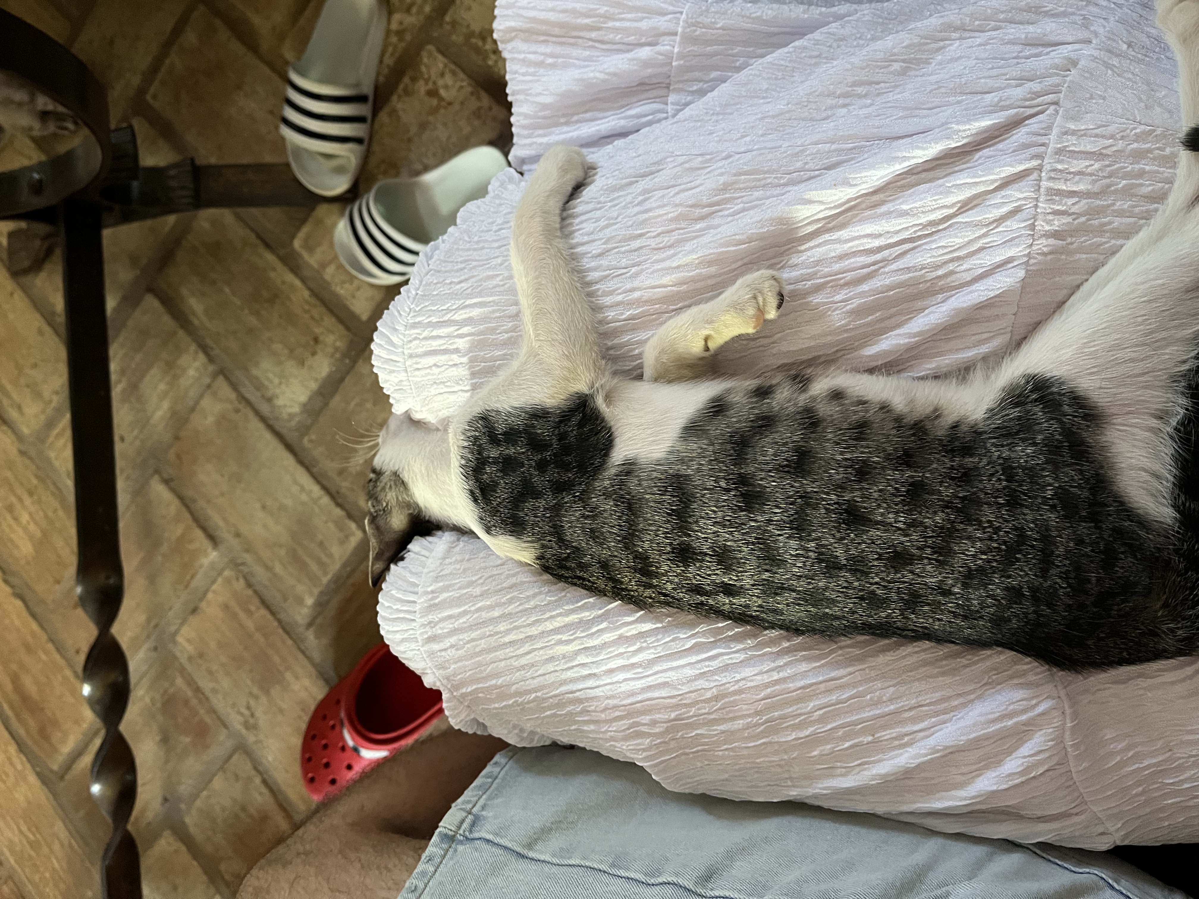 image-5