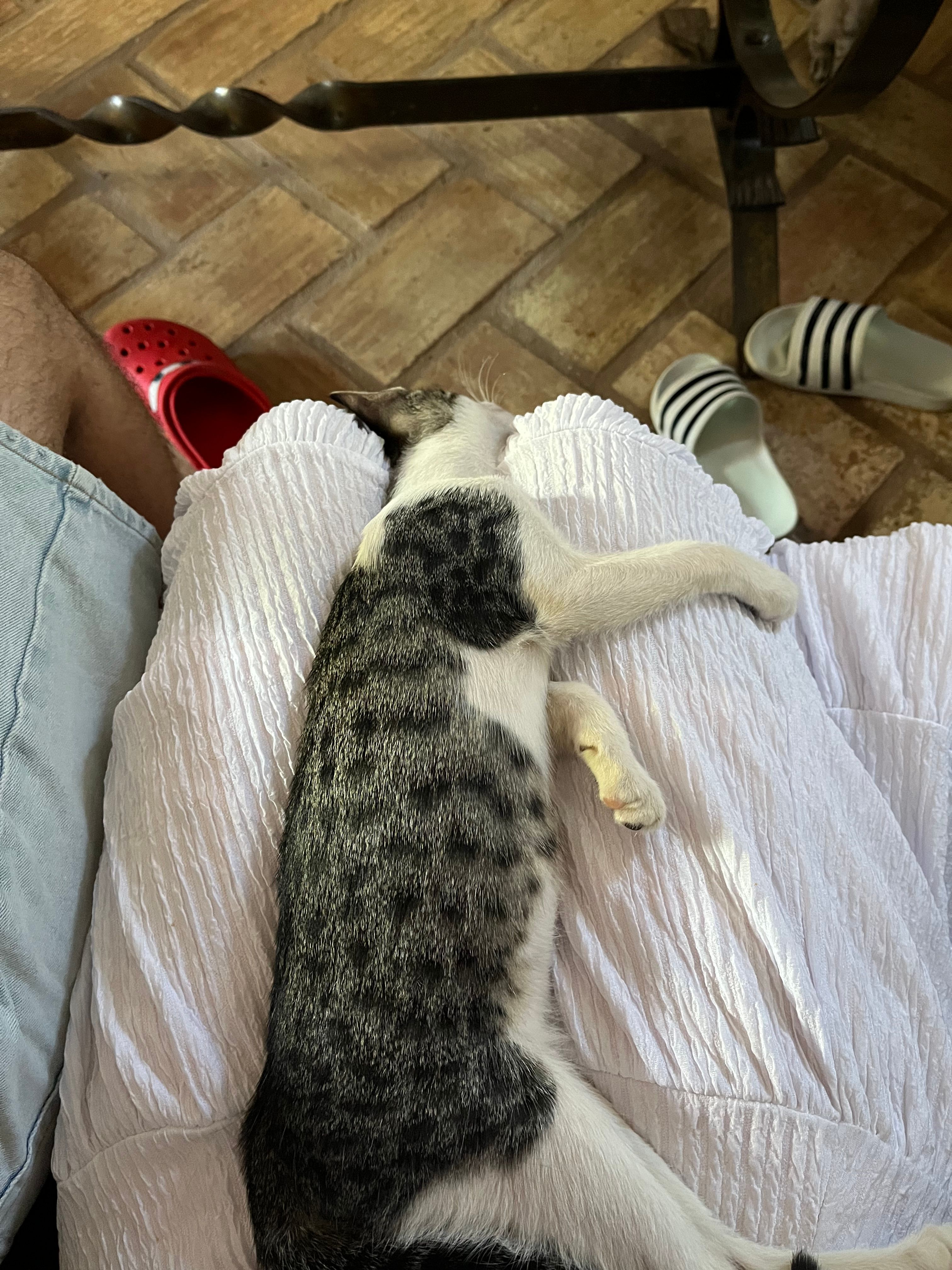 image-5