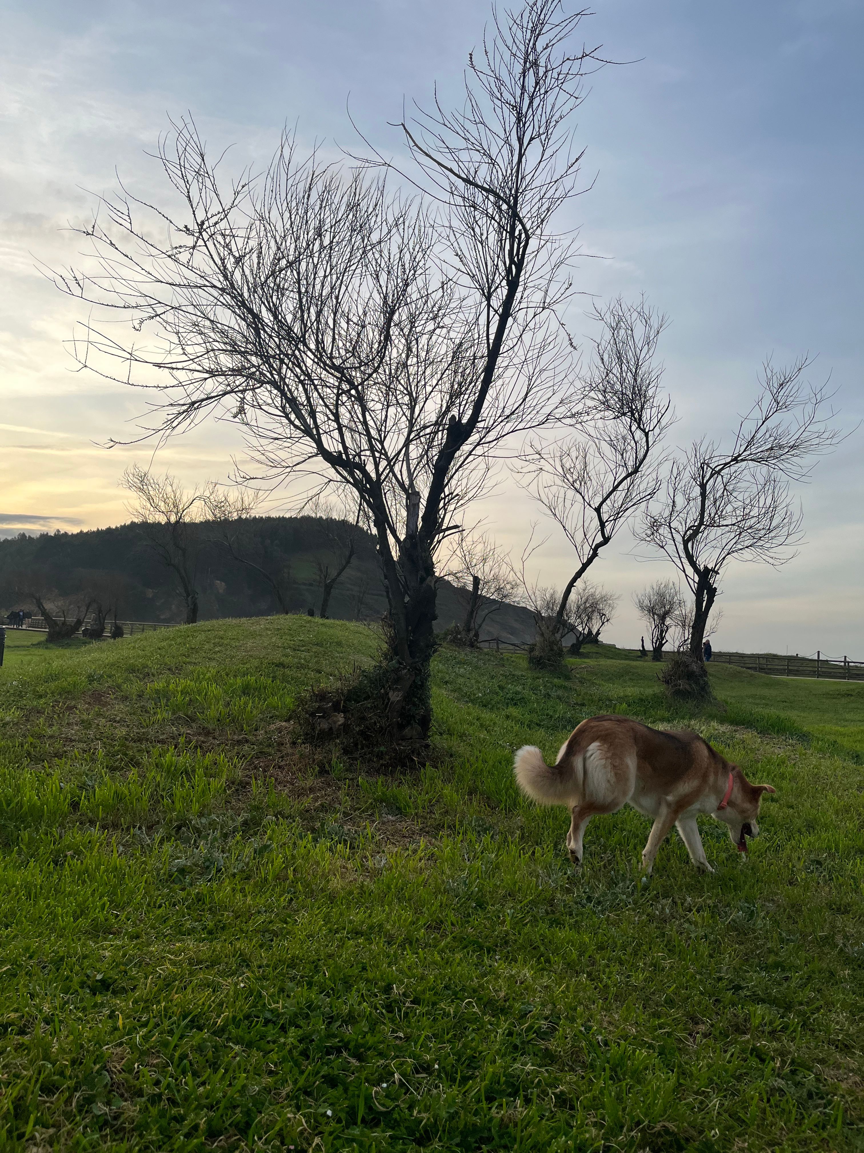 image-18
