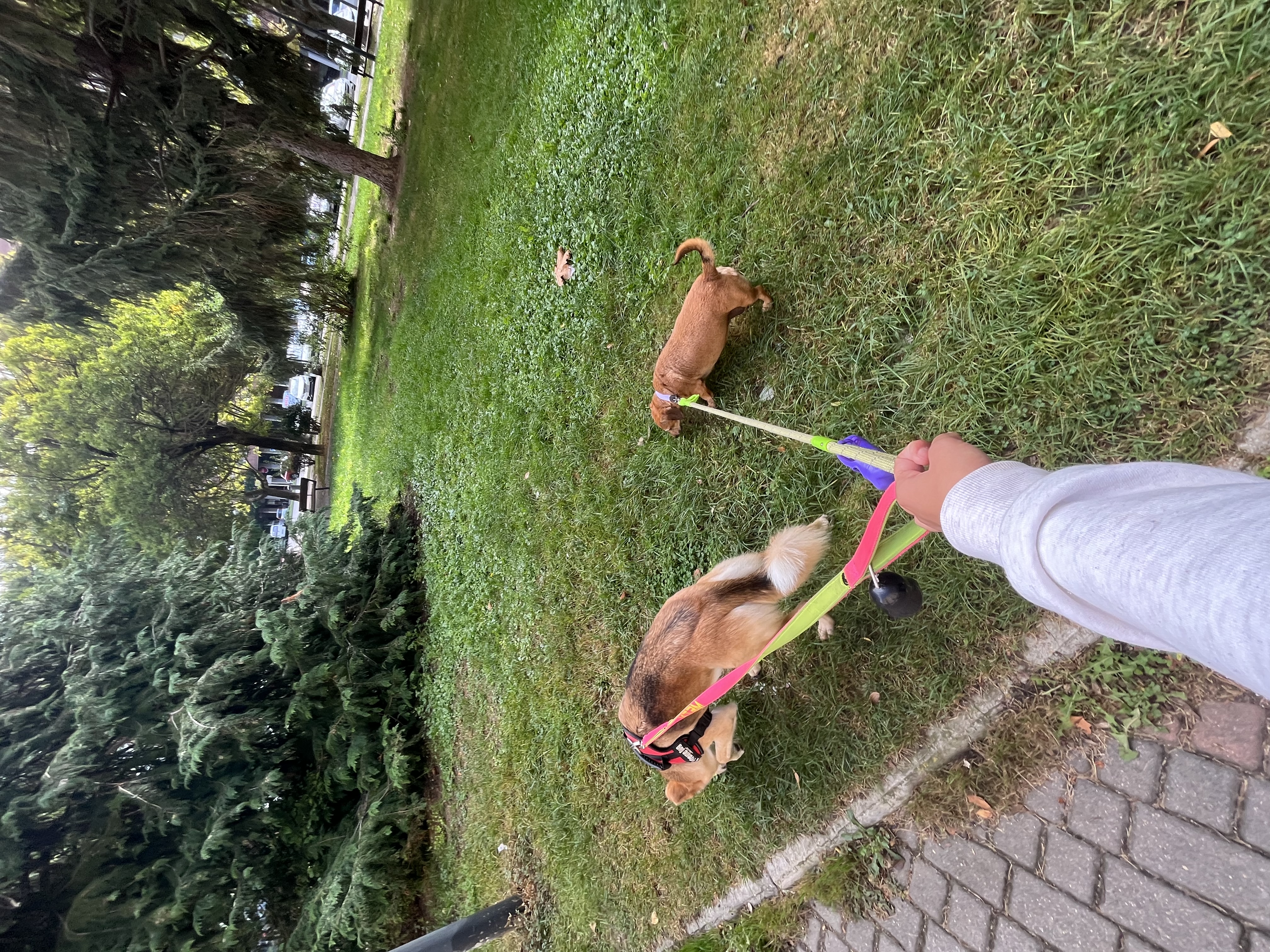 image-9