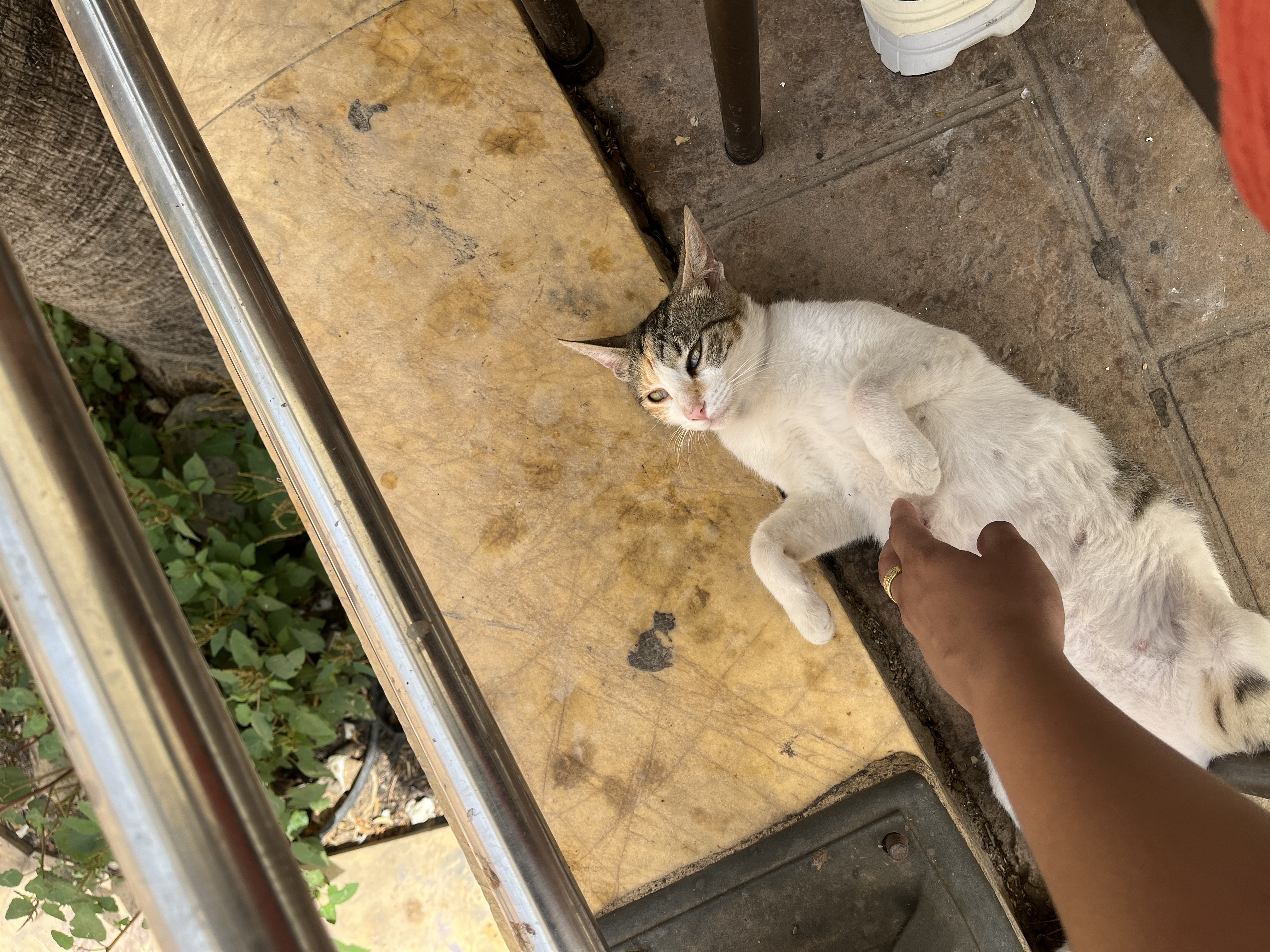 image-16