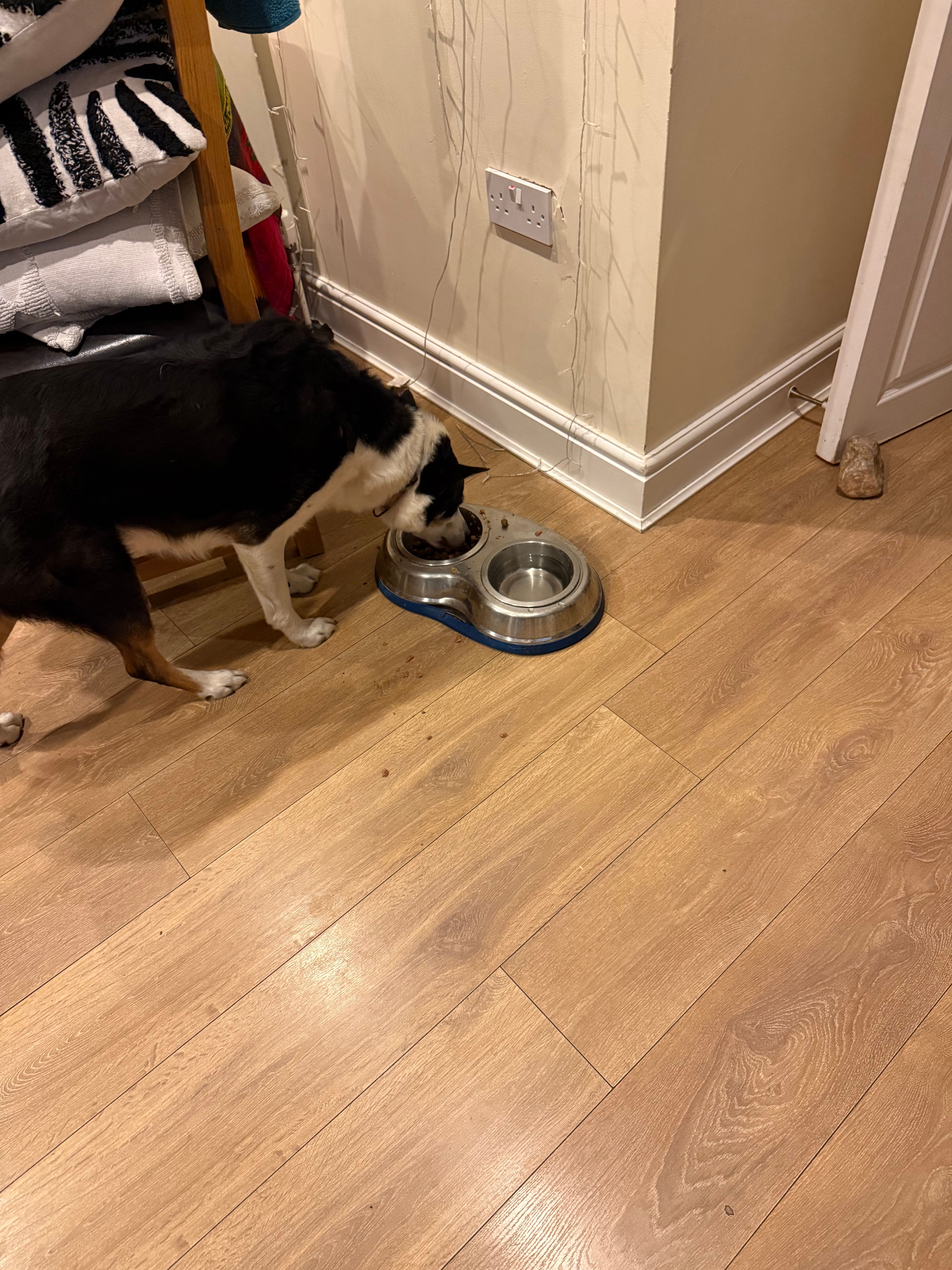 image-10