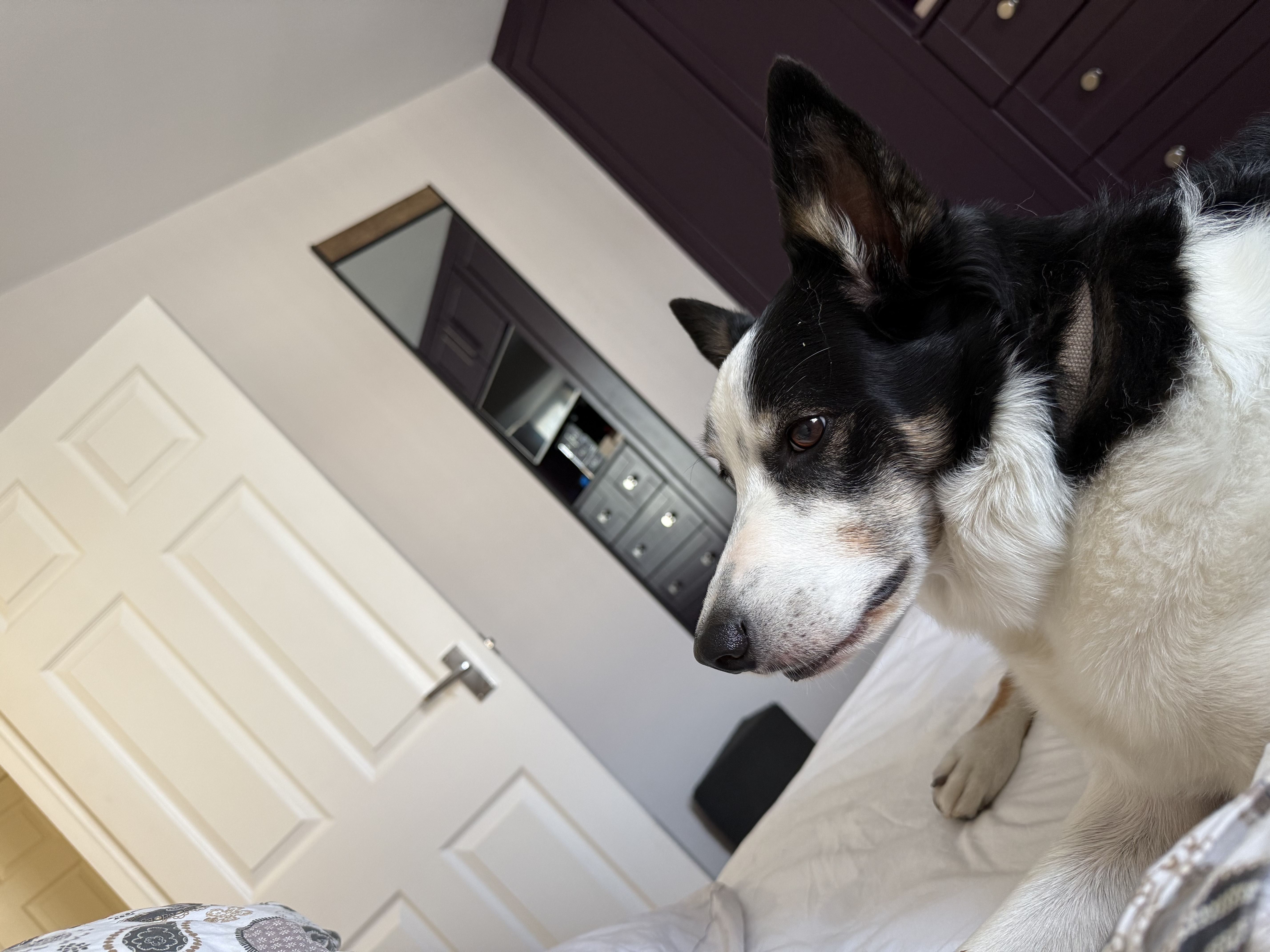 image-7