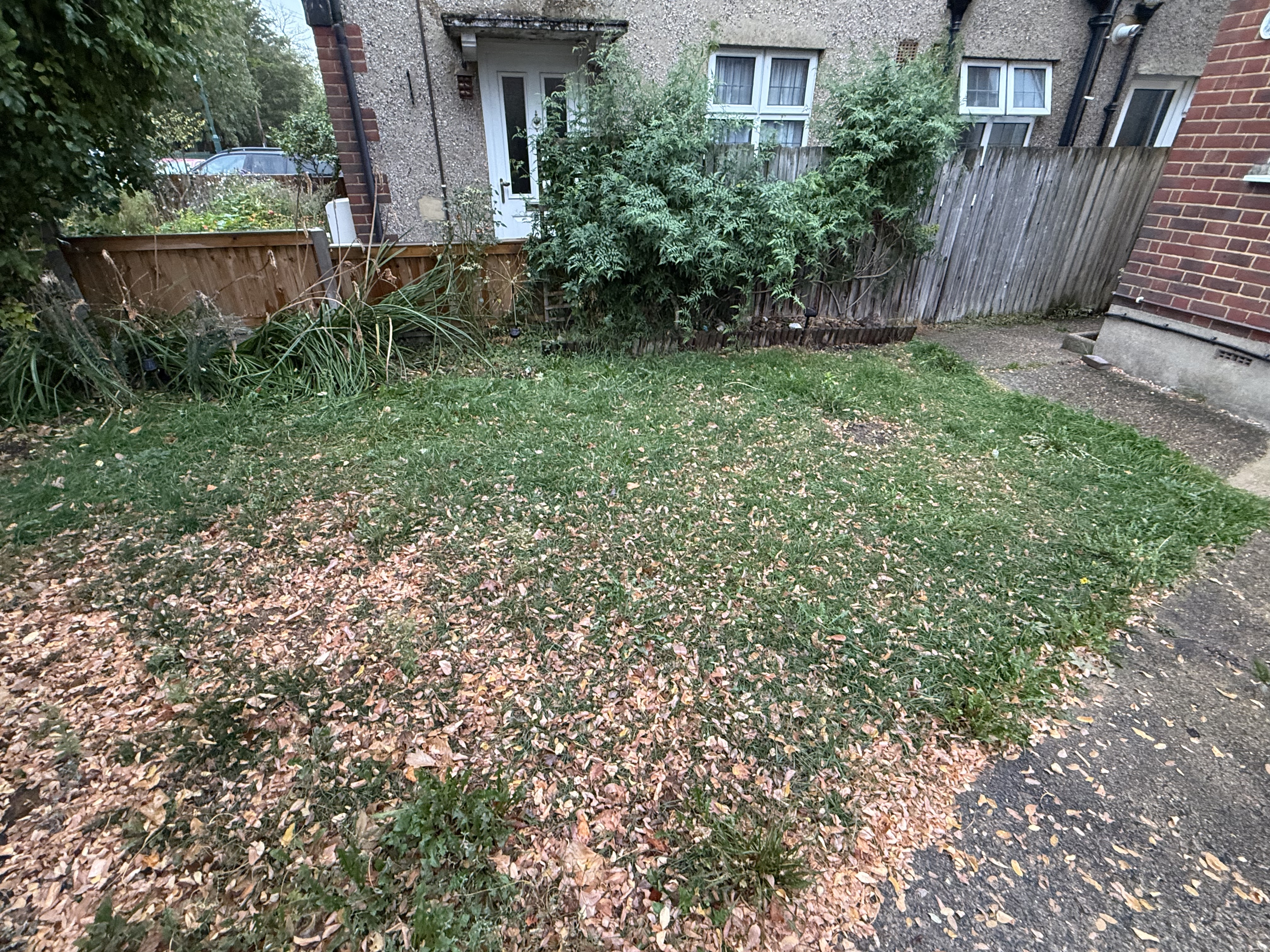 image-17