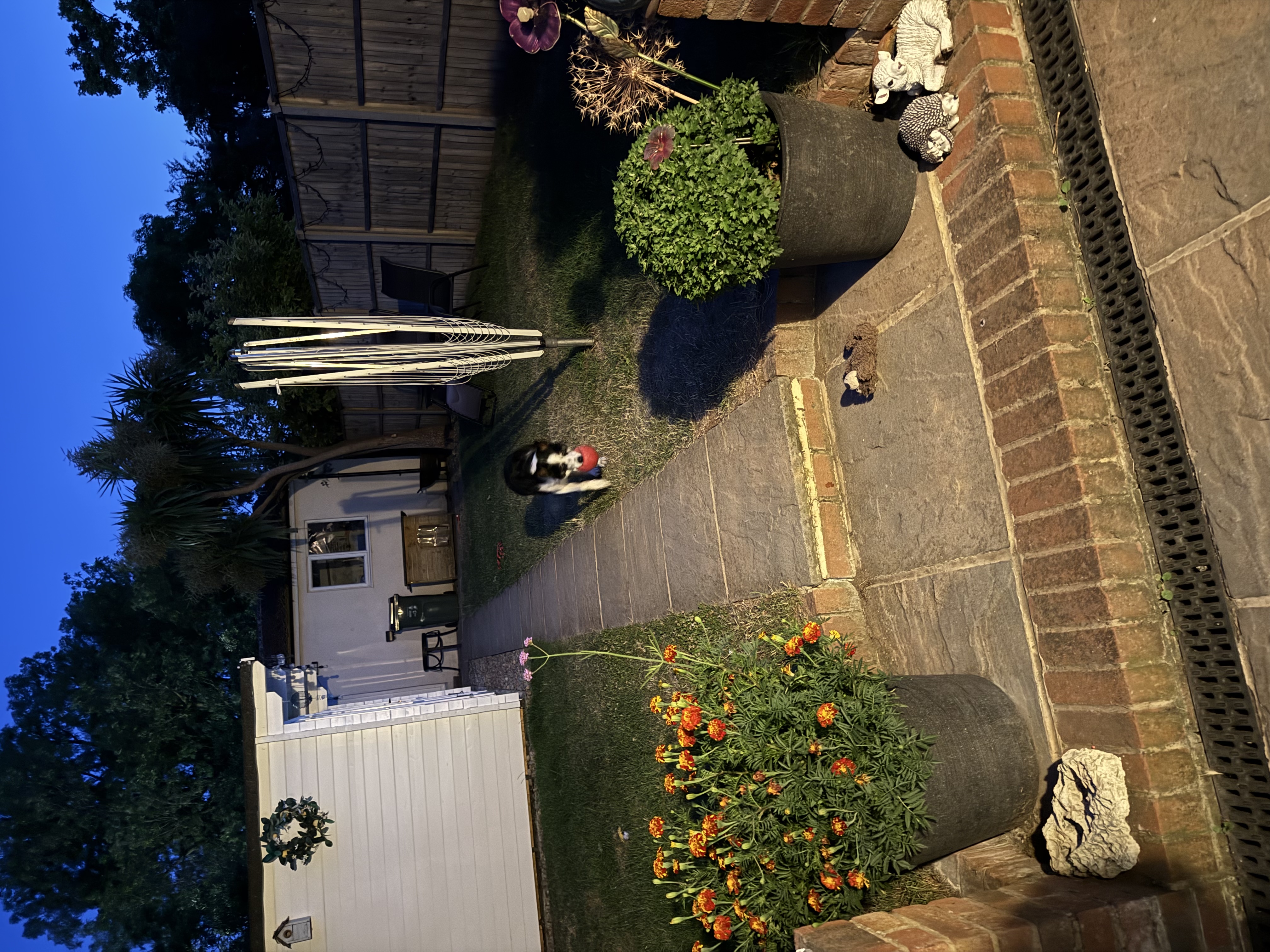 image-11